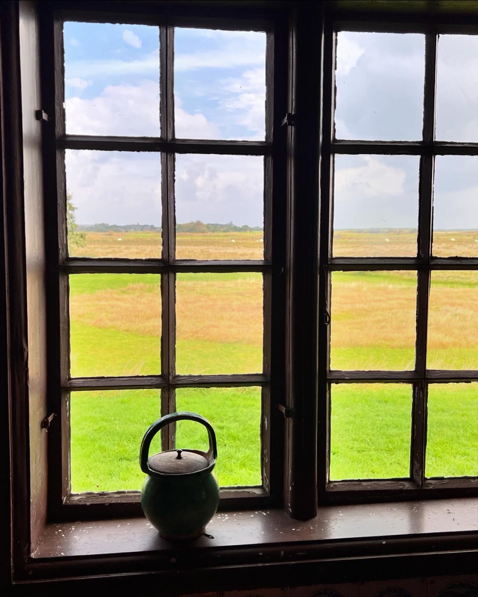 Blick aus dem Fenster auf grüne Wiesen, links steht ein alter Topf