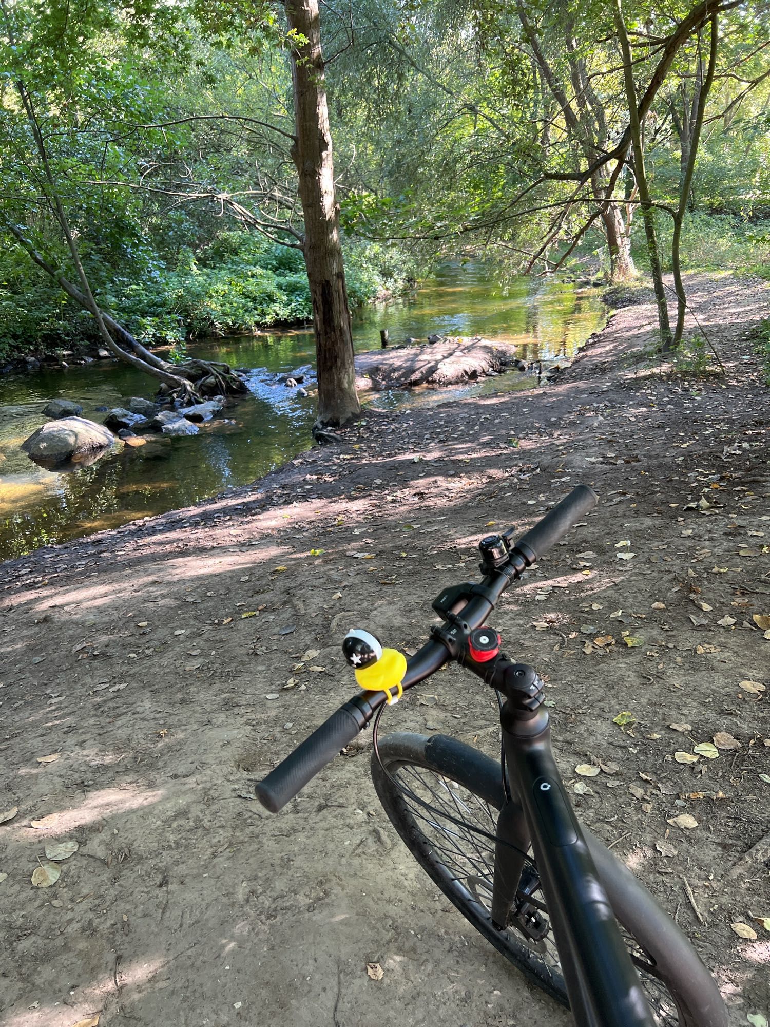 Mein Rad mit Gummiente im Vordergrund- hinten der Bach