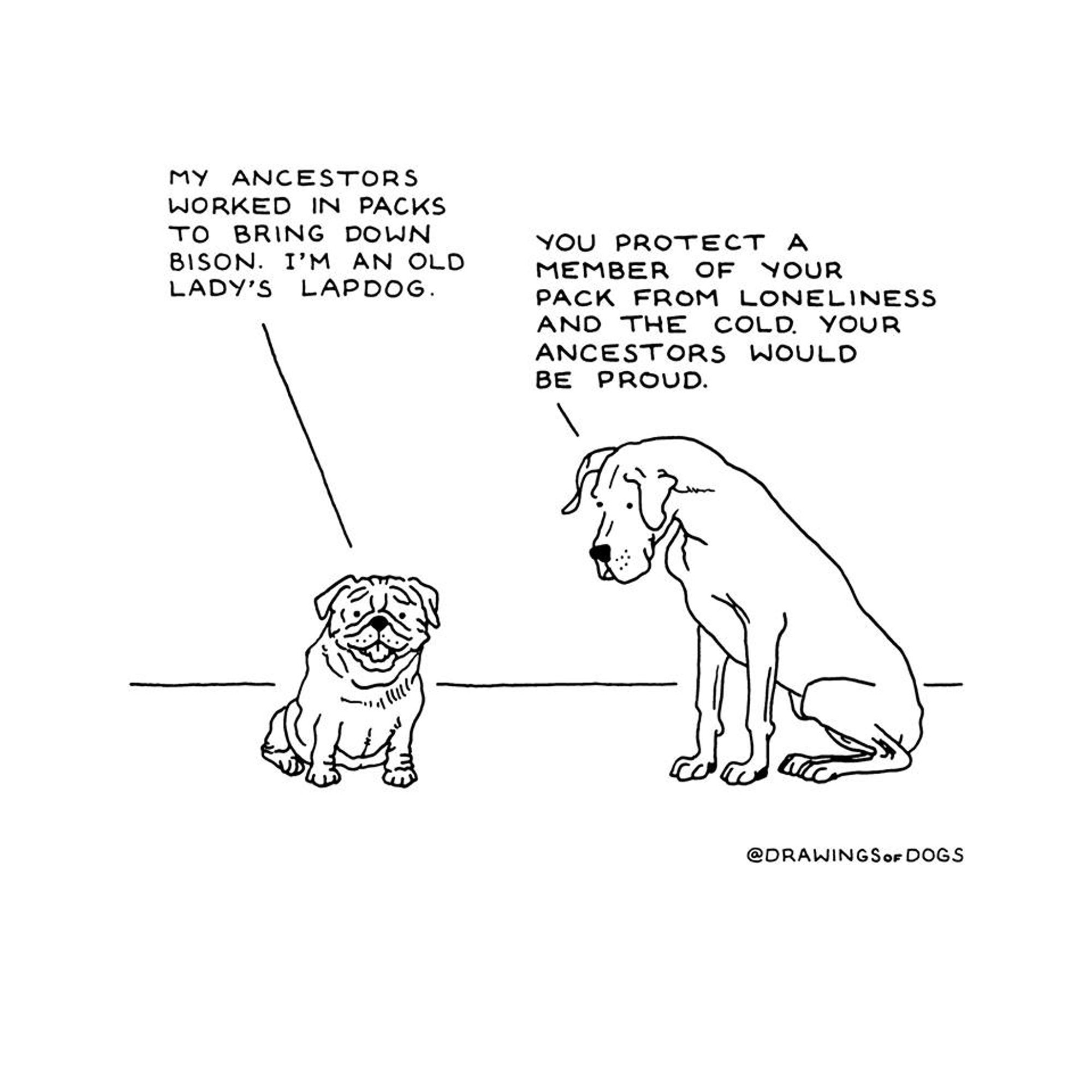 Small sad dog says, "my ancestors worked in packs to bring down bison. I'm an old lady's lapdog."

Large wise dog says, "You protect a member of your pack from loneliness and the cold. Your ancestors would be proud."
copyright Drawings for Dogs