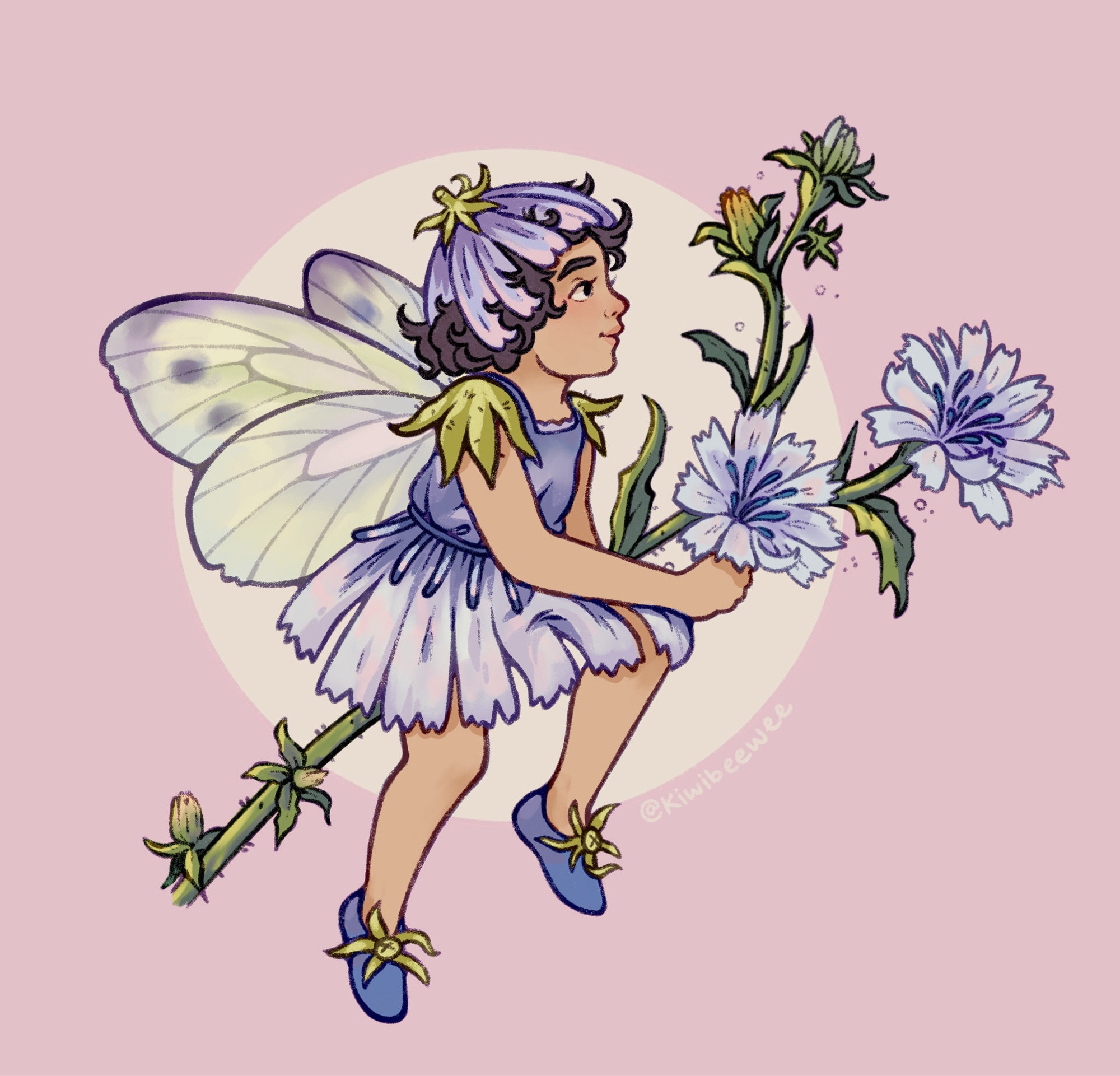 a chickory fairy: a girl sits on a chickory stem, her hair is curly brown with a chickory flower hat on top. She’s staring off to the right of the page, her dress and shoes also made of chickory. Her wings are slightly translucent, yellowish butterfly wings