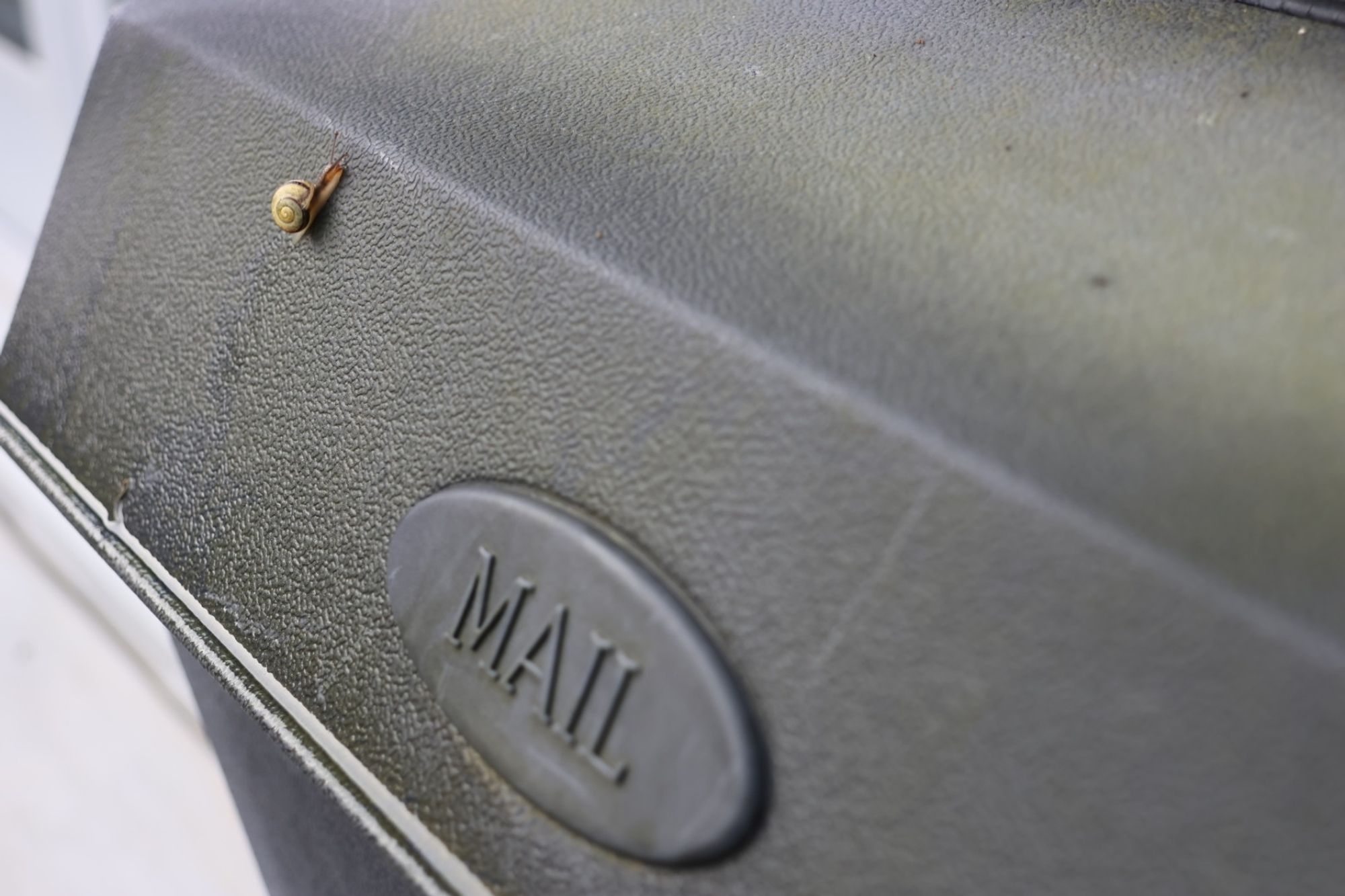 A snail on a mailbox