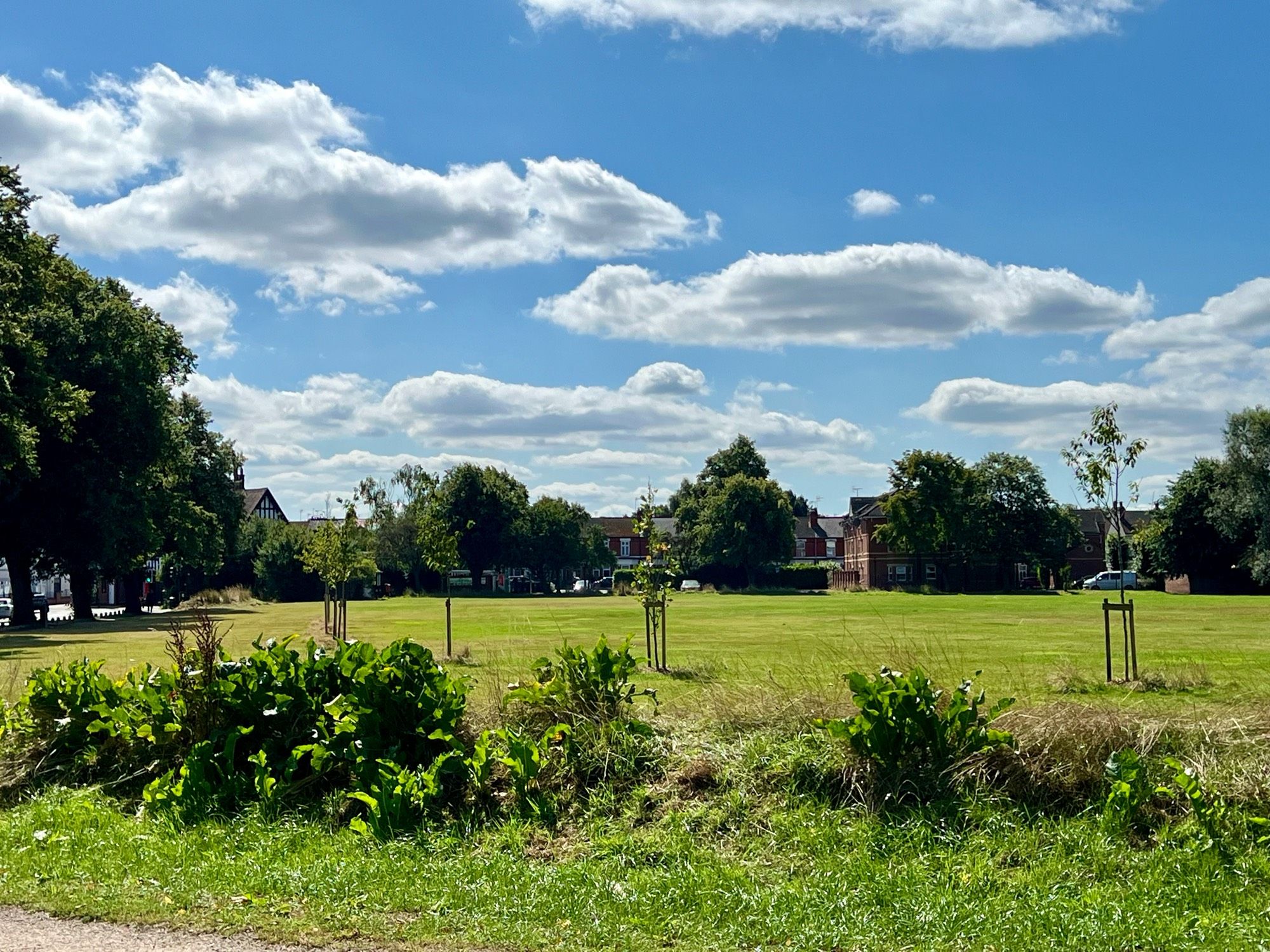 Photo of blue sky and clouds over green space, grass, and trees. The space is in the medieval city of Coventry and known as Hearsall Common. It was established as shared grazing land more than 800 years ago.