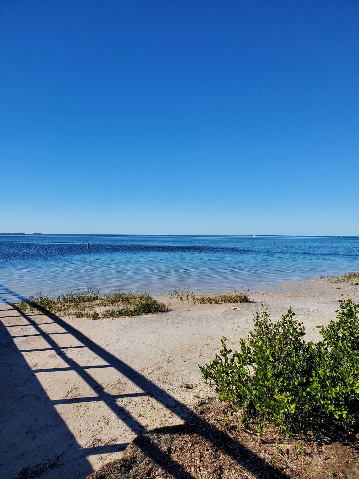 A stock photo of a beach with a few green shrubbery. A dark shadow of a unseen pier is on the sand. The ocean water is smooth and calm, and the bright blue sky is completely clear.