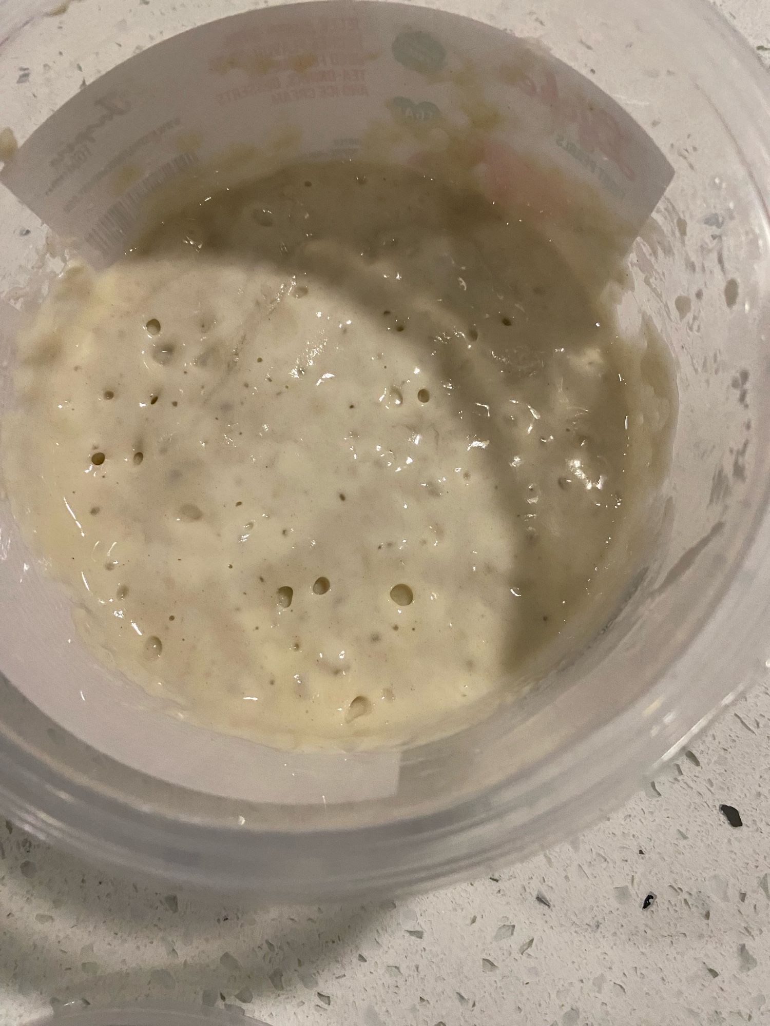 Sourdough Starter