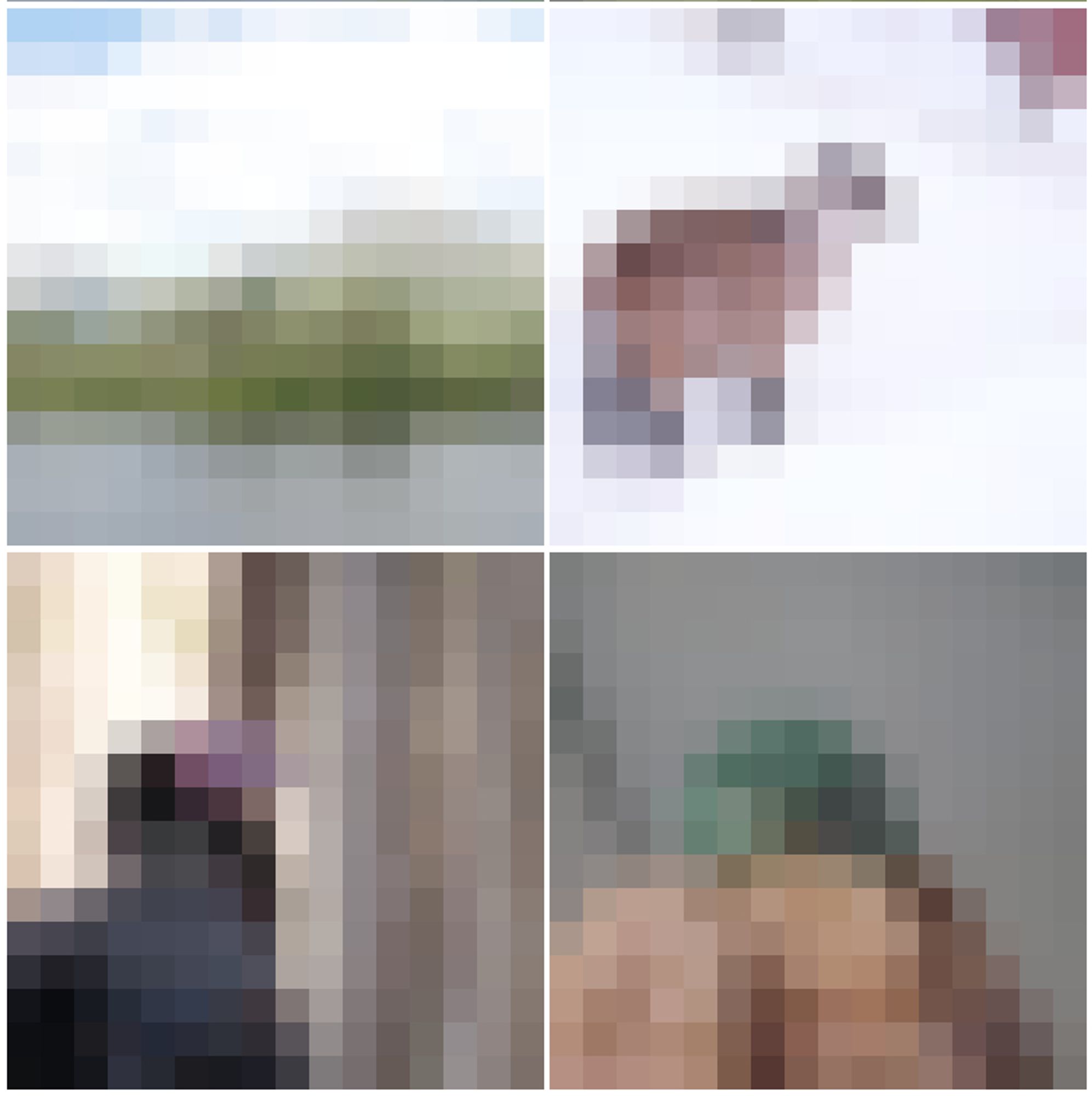 2x2 grid of pixelised images. they aren't very identifiable, one is a goat