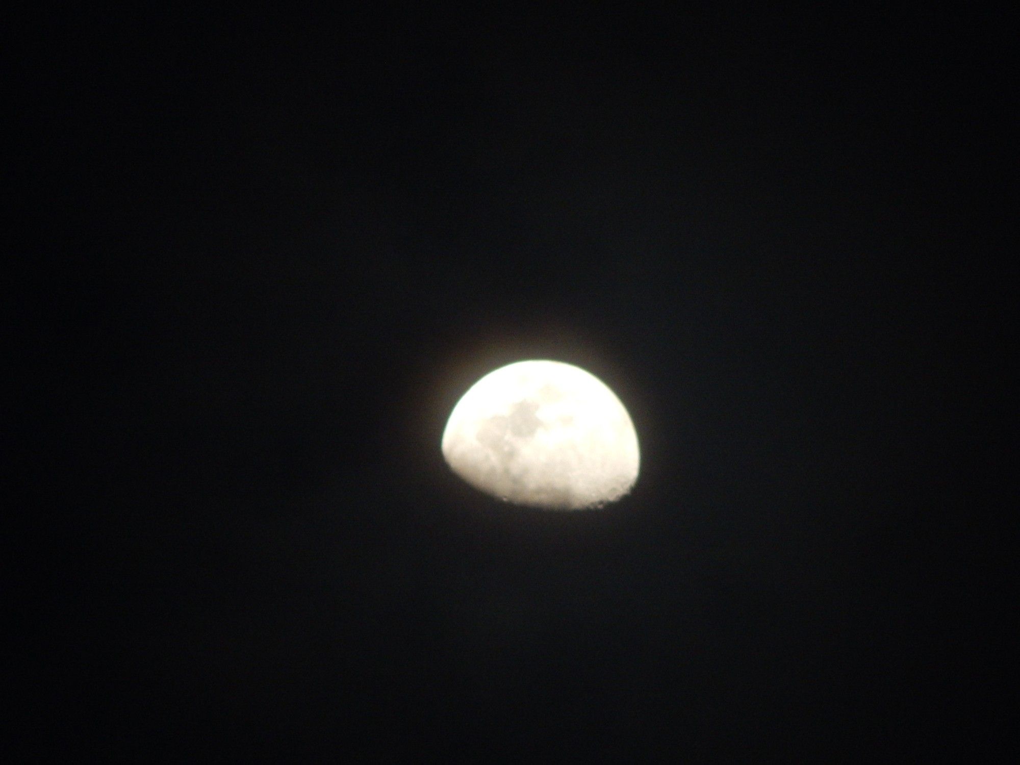 la luna brilla en la noche