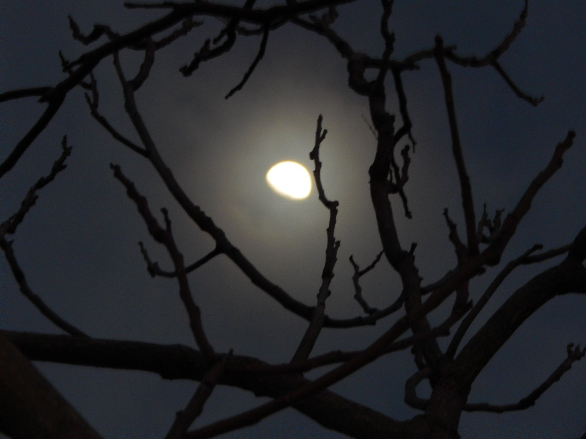 la luna nos ilumina