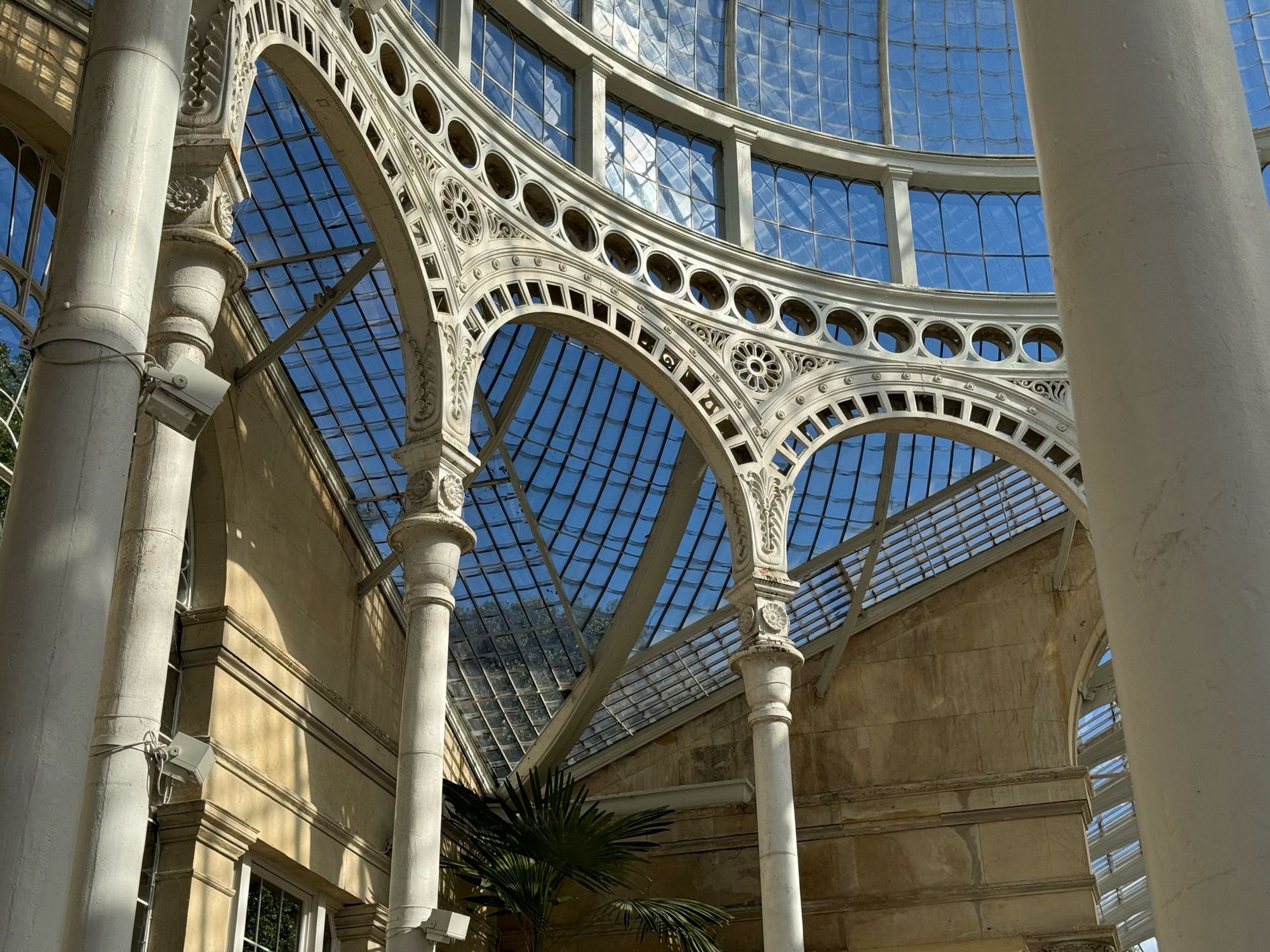 A detail of the ornate ironwork and glass panels of the glass dome in a large conservatory.