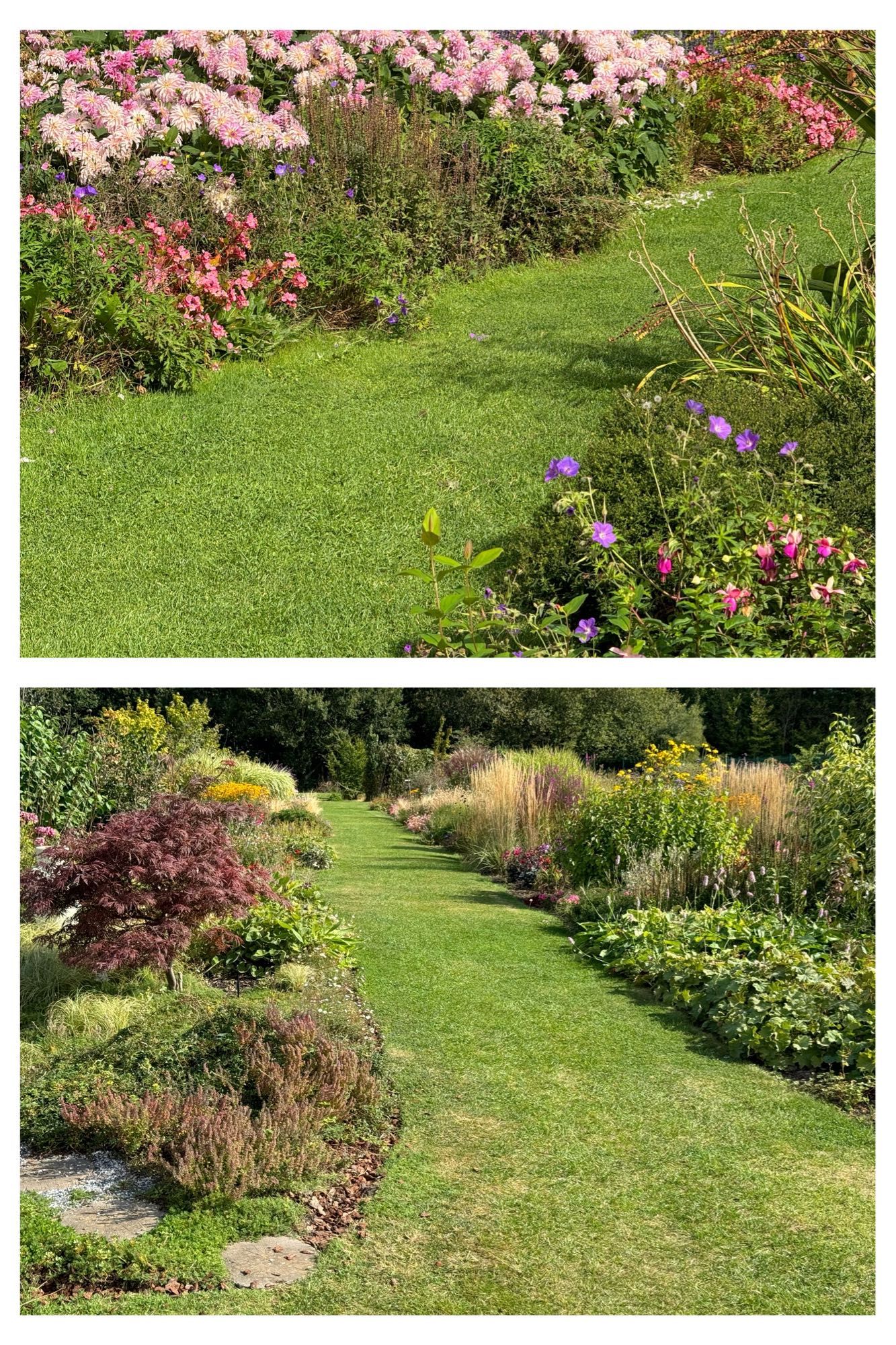 Grass paths between flower beds.