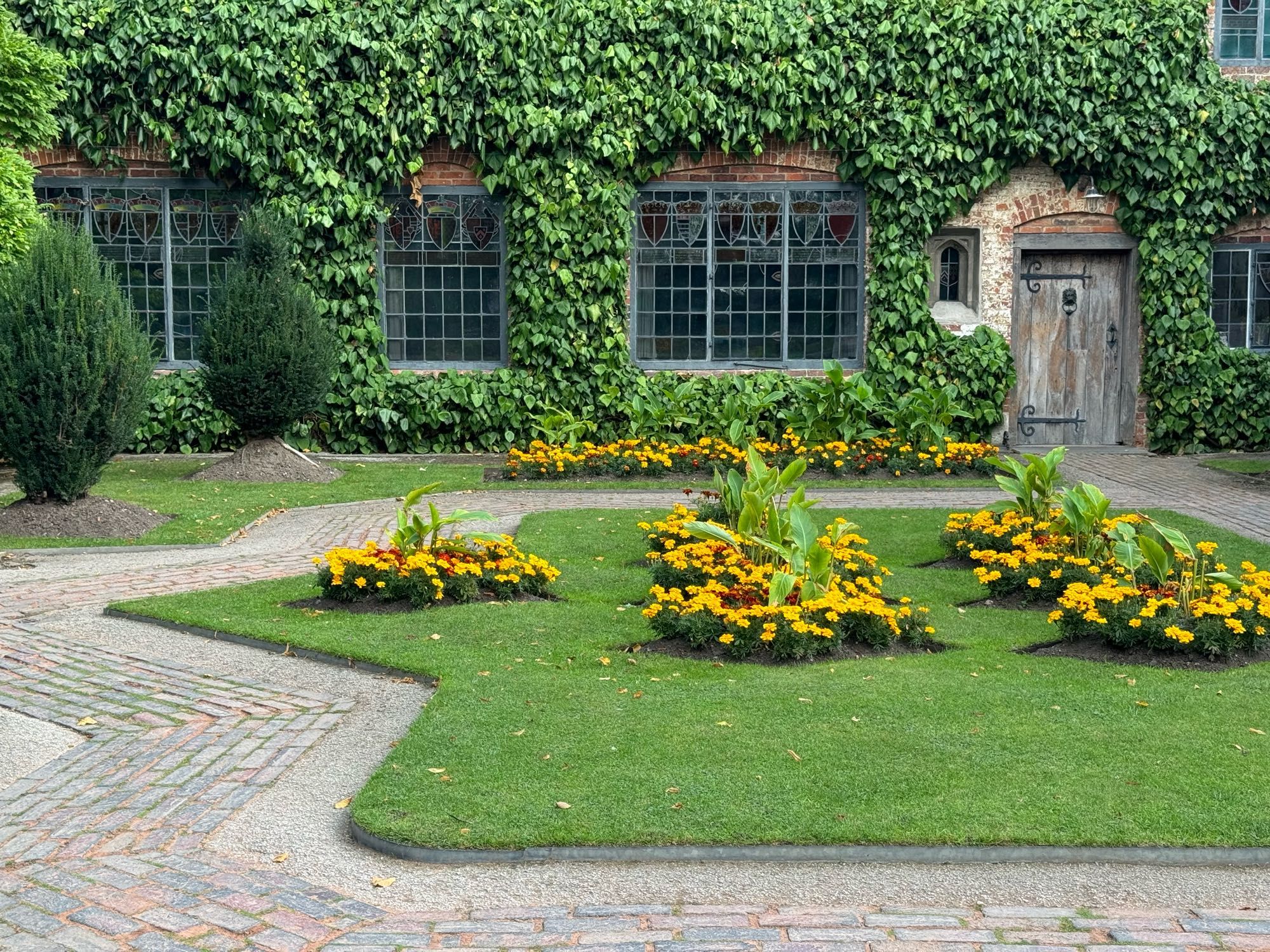 A formal courtyard garden, with geometric lawn and flower beds, and climbers covering most of the surrounding building.