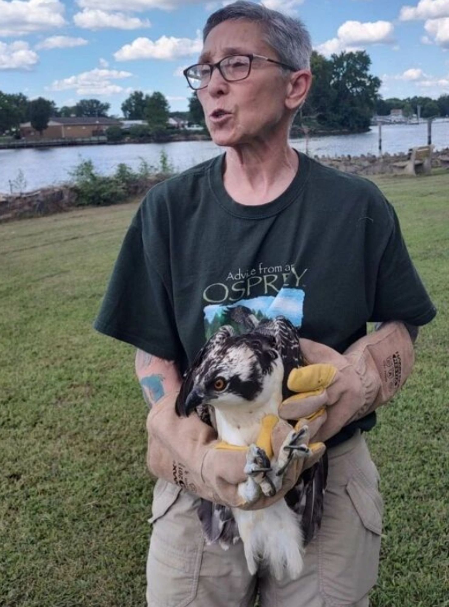 rescuing an osprey