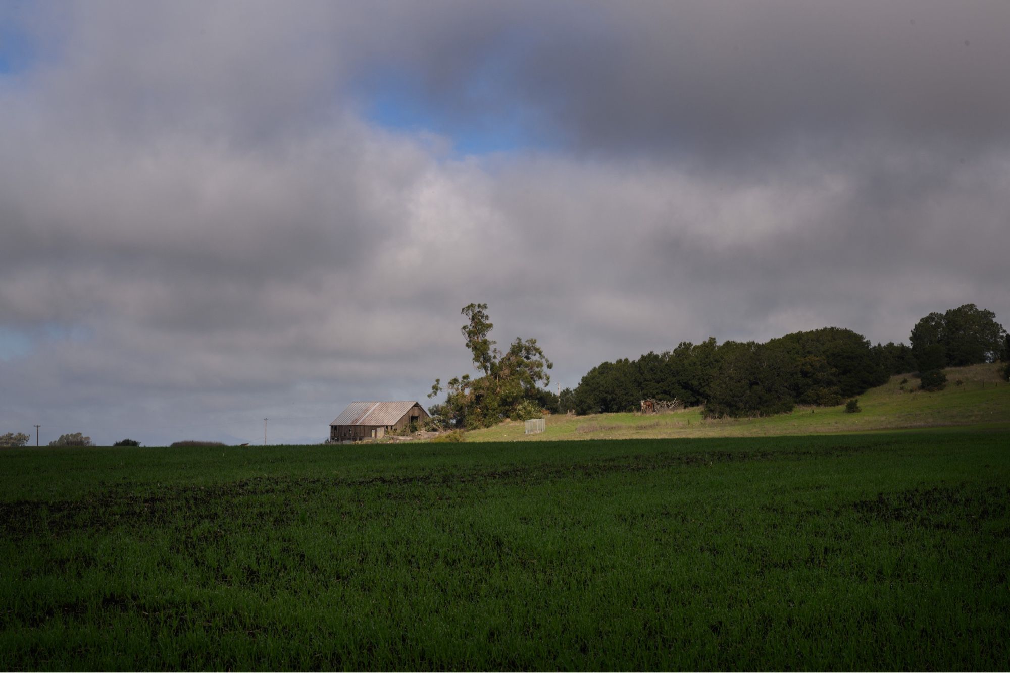 A farm is spotlighted in an open green field with puffy clouds and a smudge of blue sky above