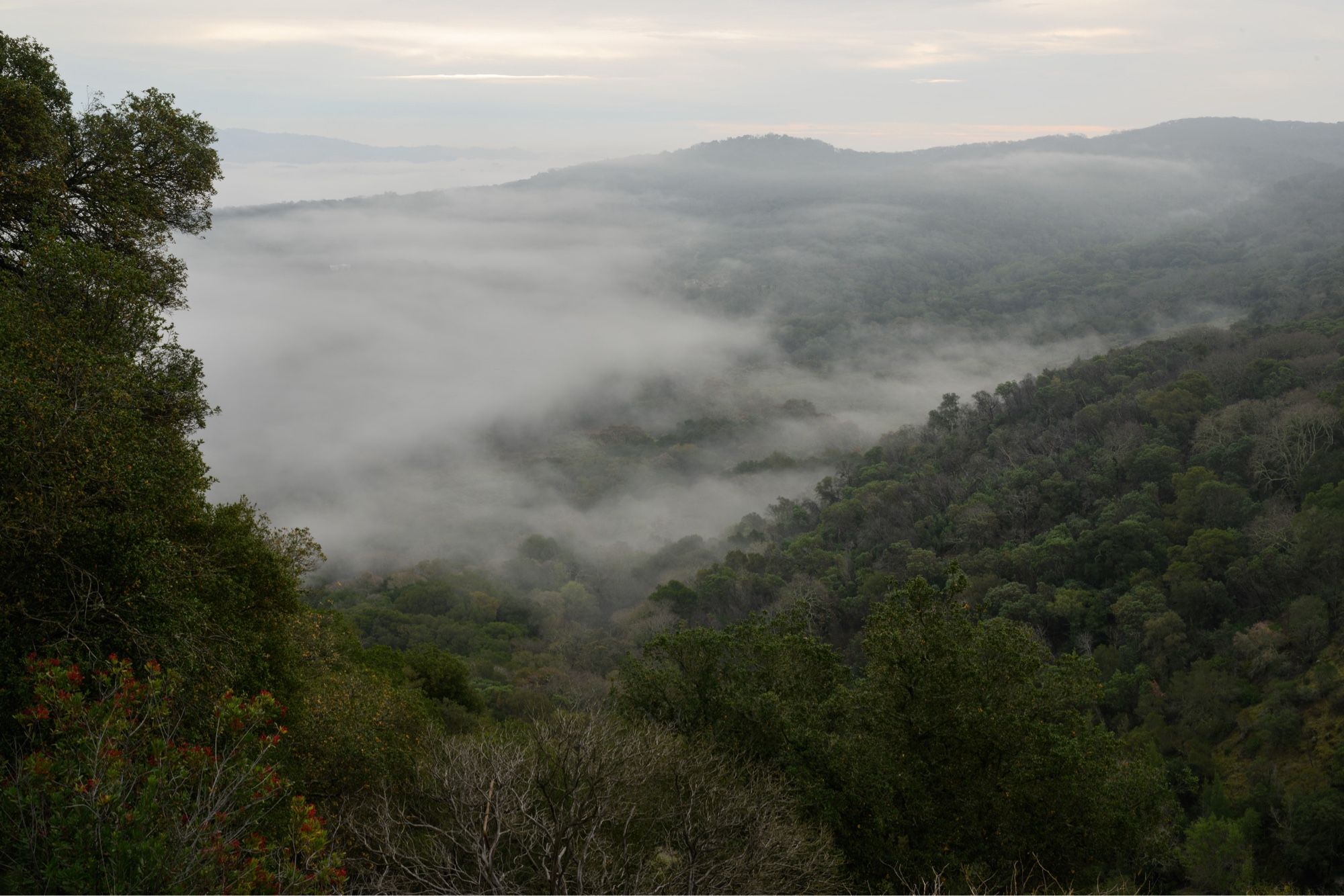 Clouds enveloping a valley framed by green hillsides