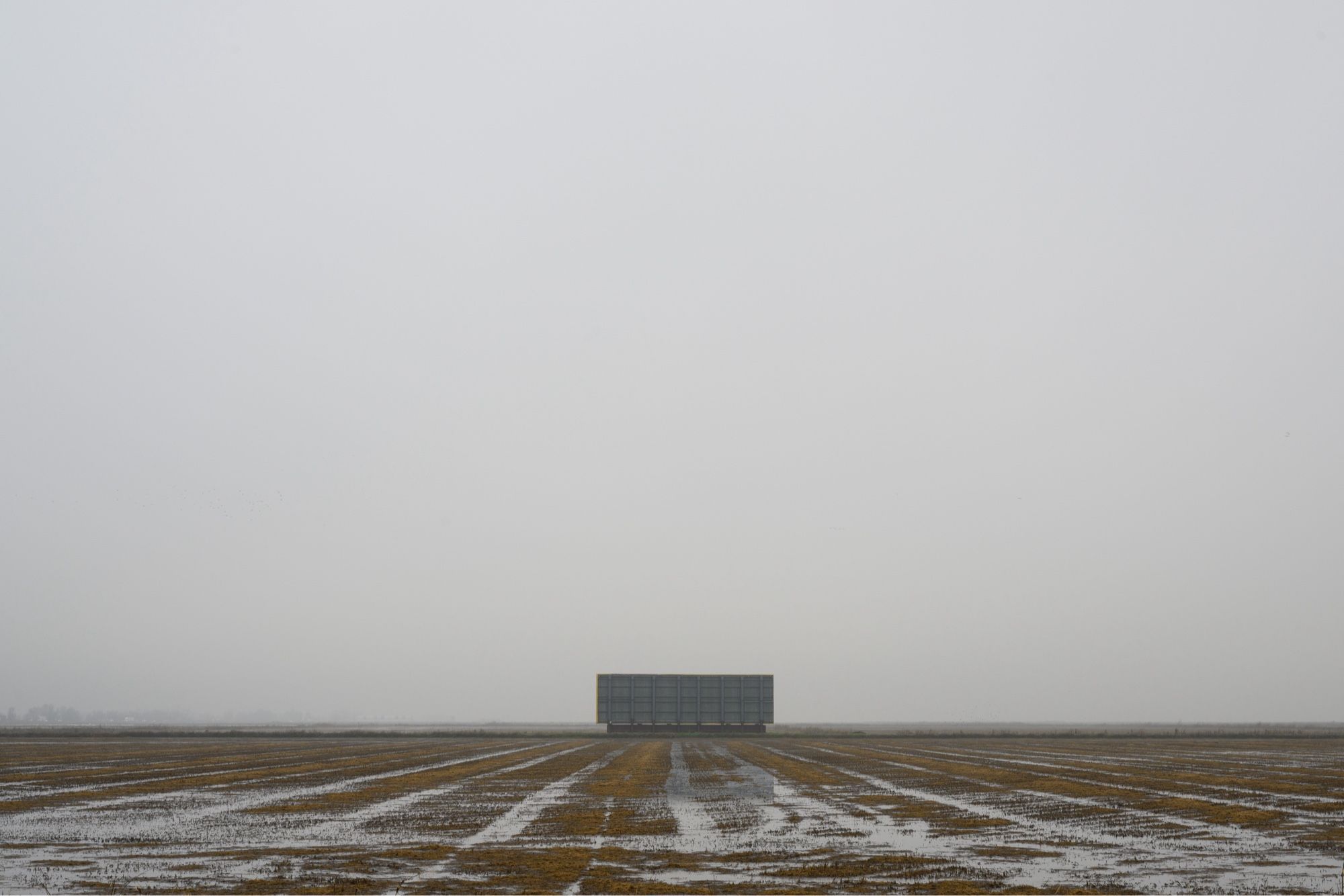 A lone billboard stands in a soggy cut rice field in an overcast day