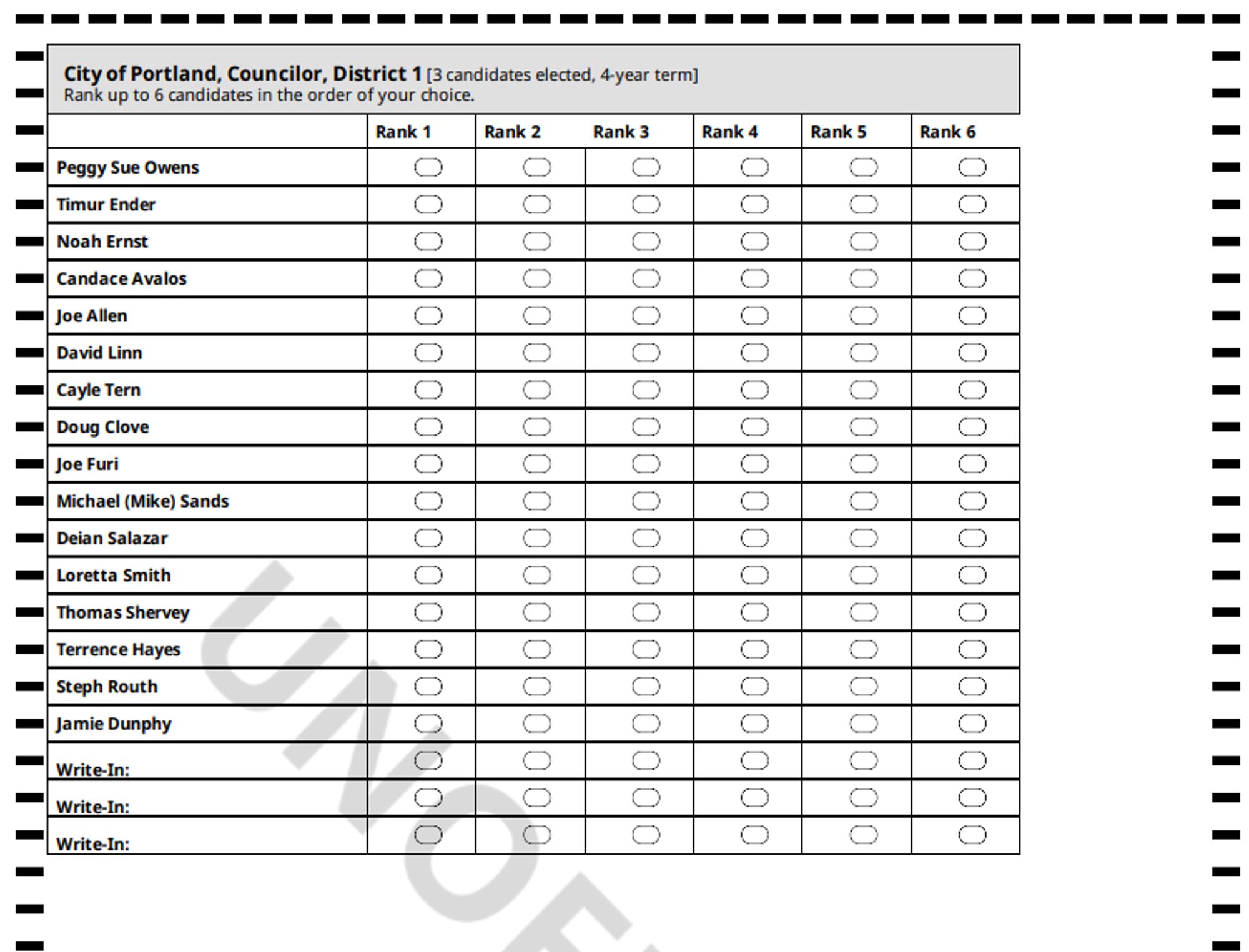 RCV ballot for Portland's District 1