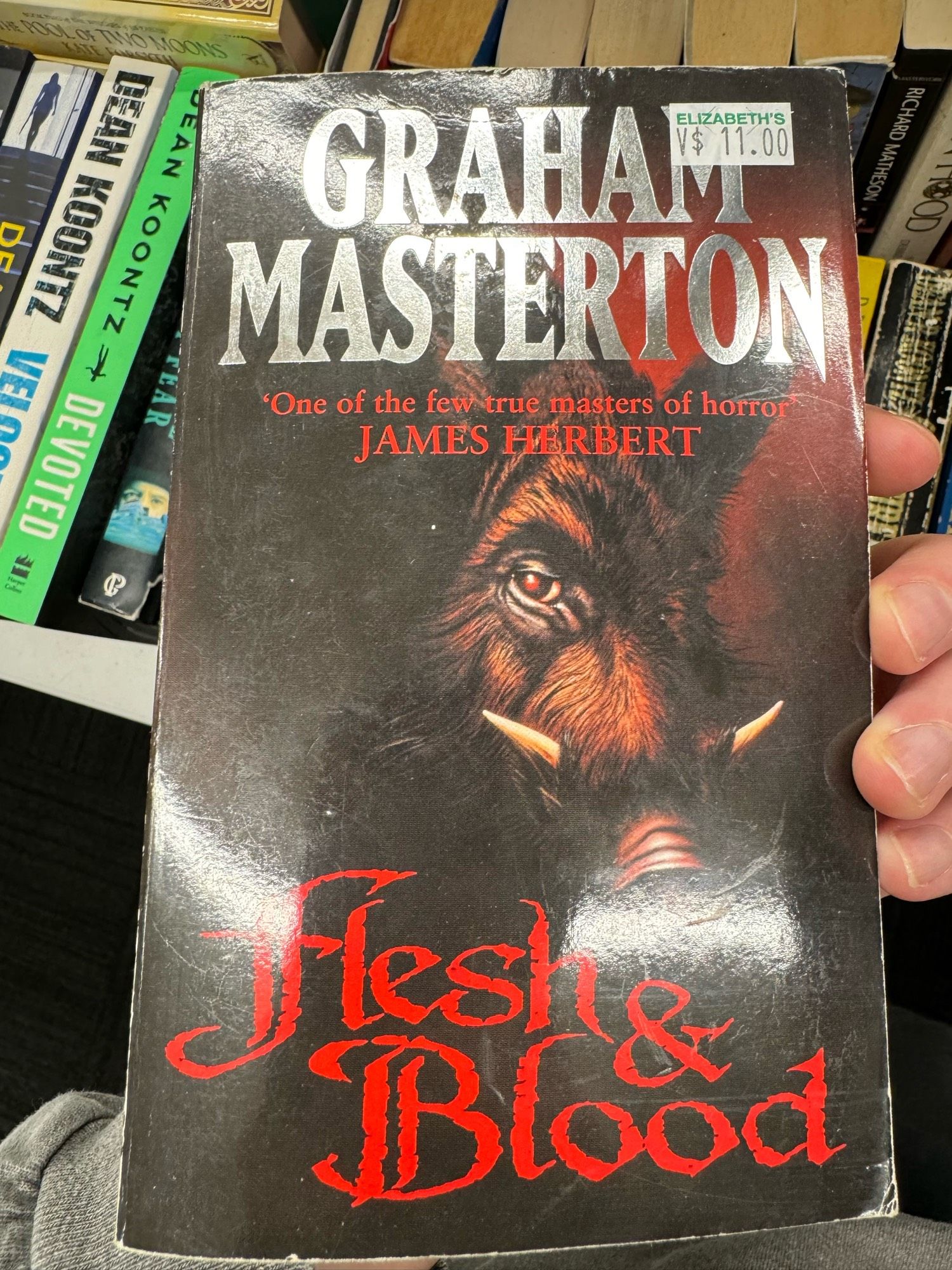 cover of book called “flesh & blood” by graham masterton