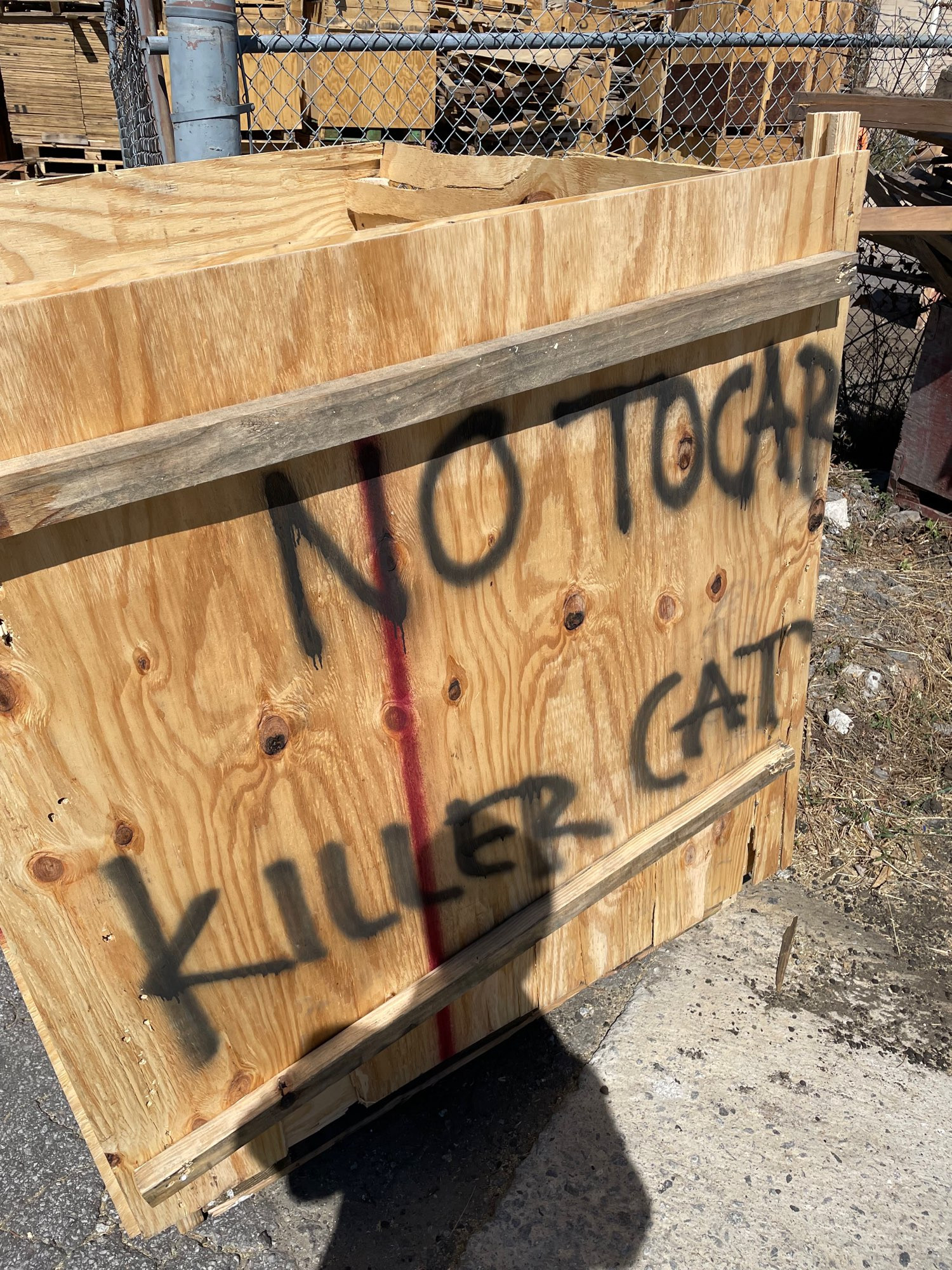 box that has “NO TOCAR | KILLER CAT” scrawled on it