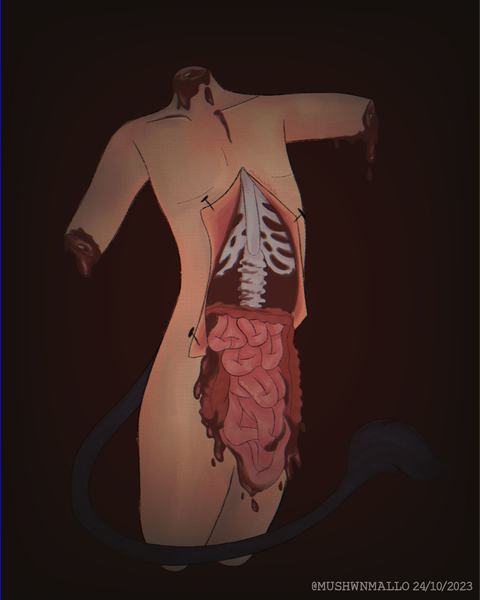 A human body with severed arms and no head.

There is a cut from the chest to the end of the belly, where the rib bones and intestines appear. Your intestine is falling out of your body.