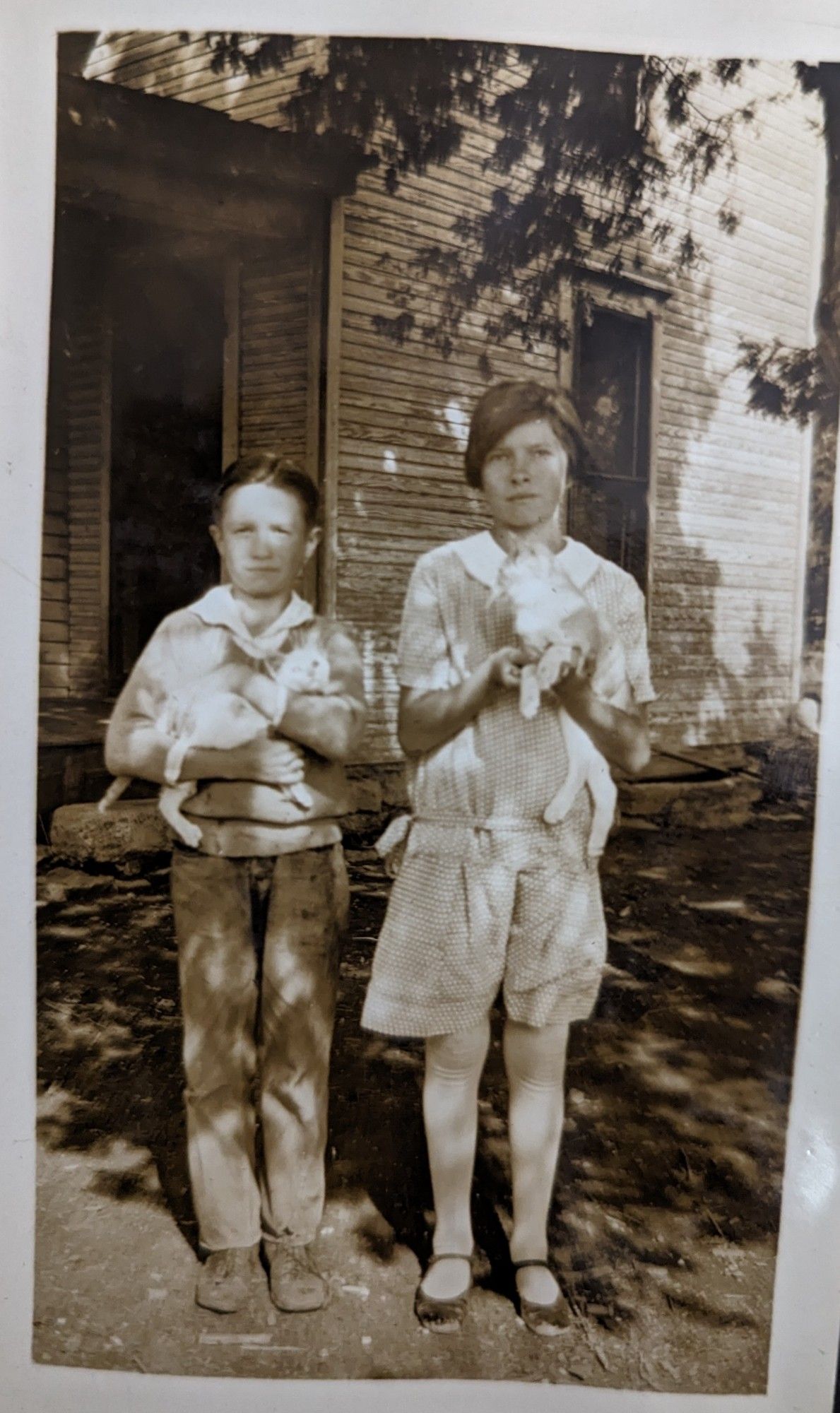 A circa 1920s photograph of two children posing with cats. One appears to be white and the other white and orange.