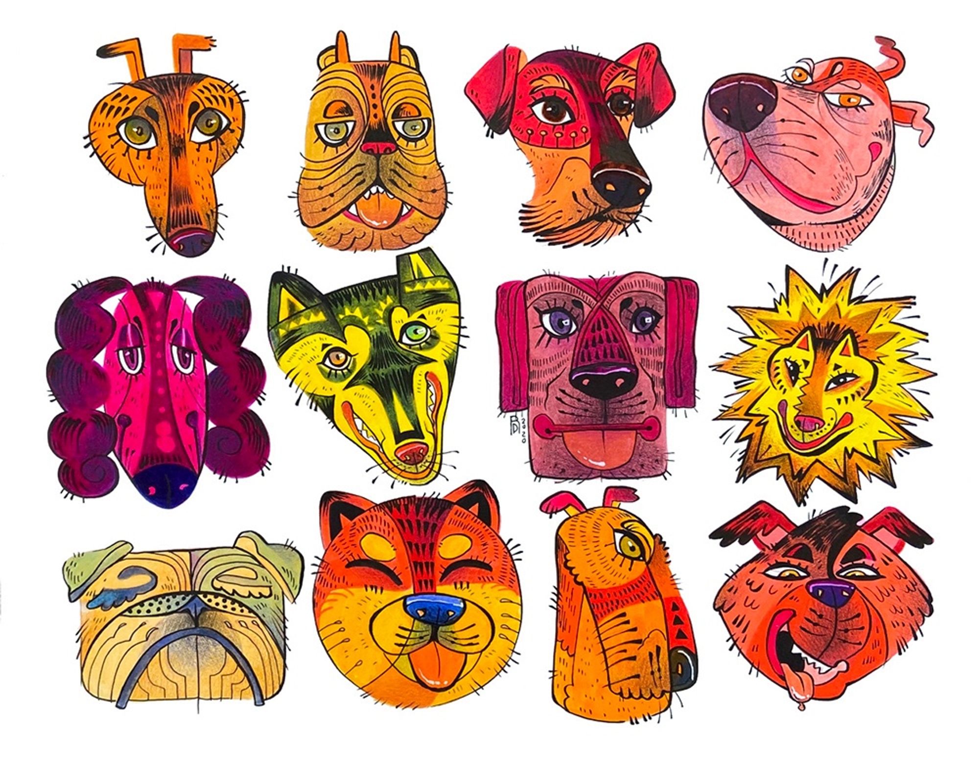 Twelve dog heads of varying dog breeds and colors, representing the beautiful diversity that is found in people too.