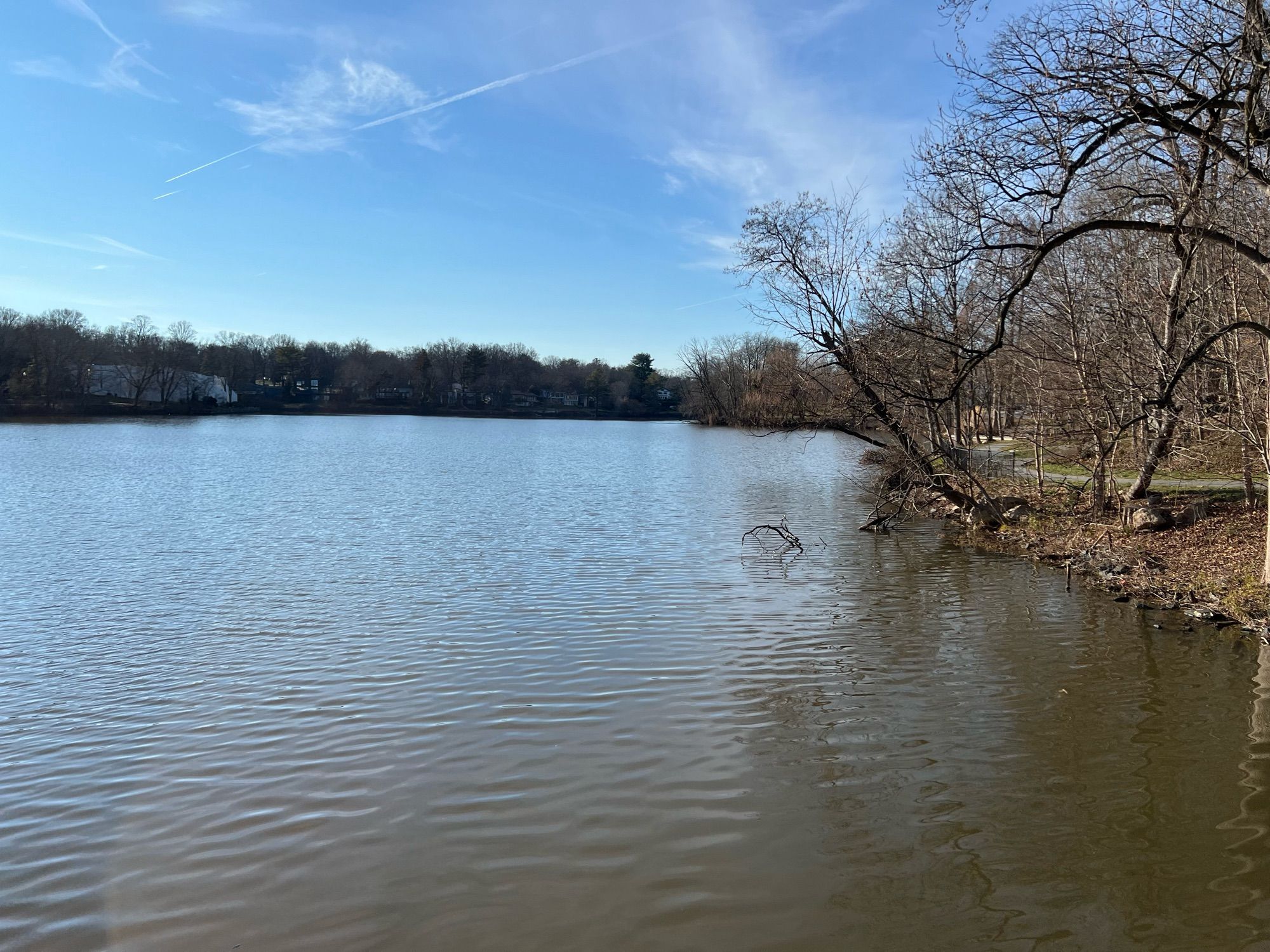 View of lake with bright blue sky containing just a few small pretty white clouds