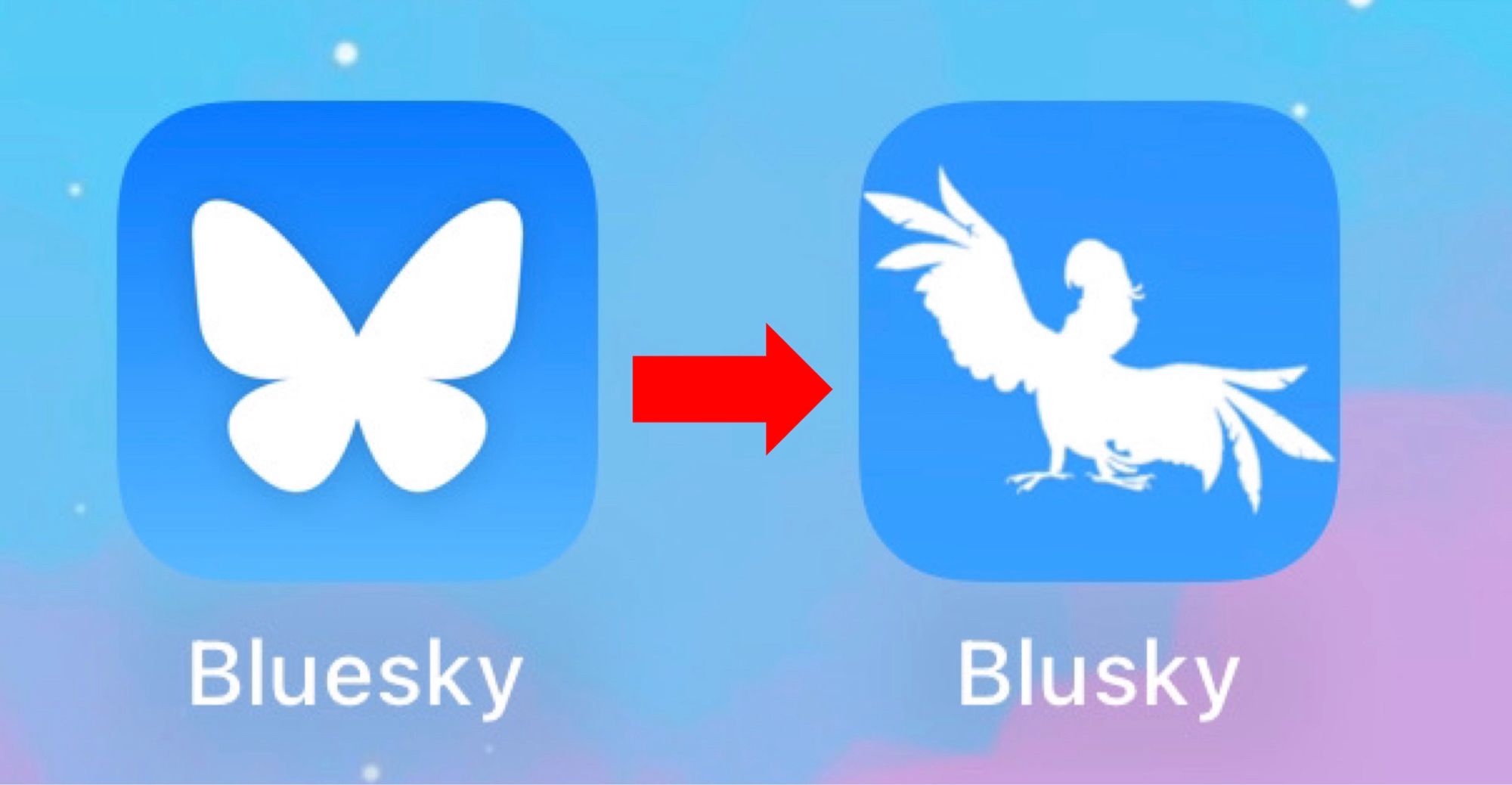 The before and after of the regular Bluesky icon butterfly to a similarly made icon with a silhouette of Blu from the movie ‘Rio’, with the app being renamed to Blusky as a pun name.