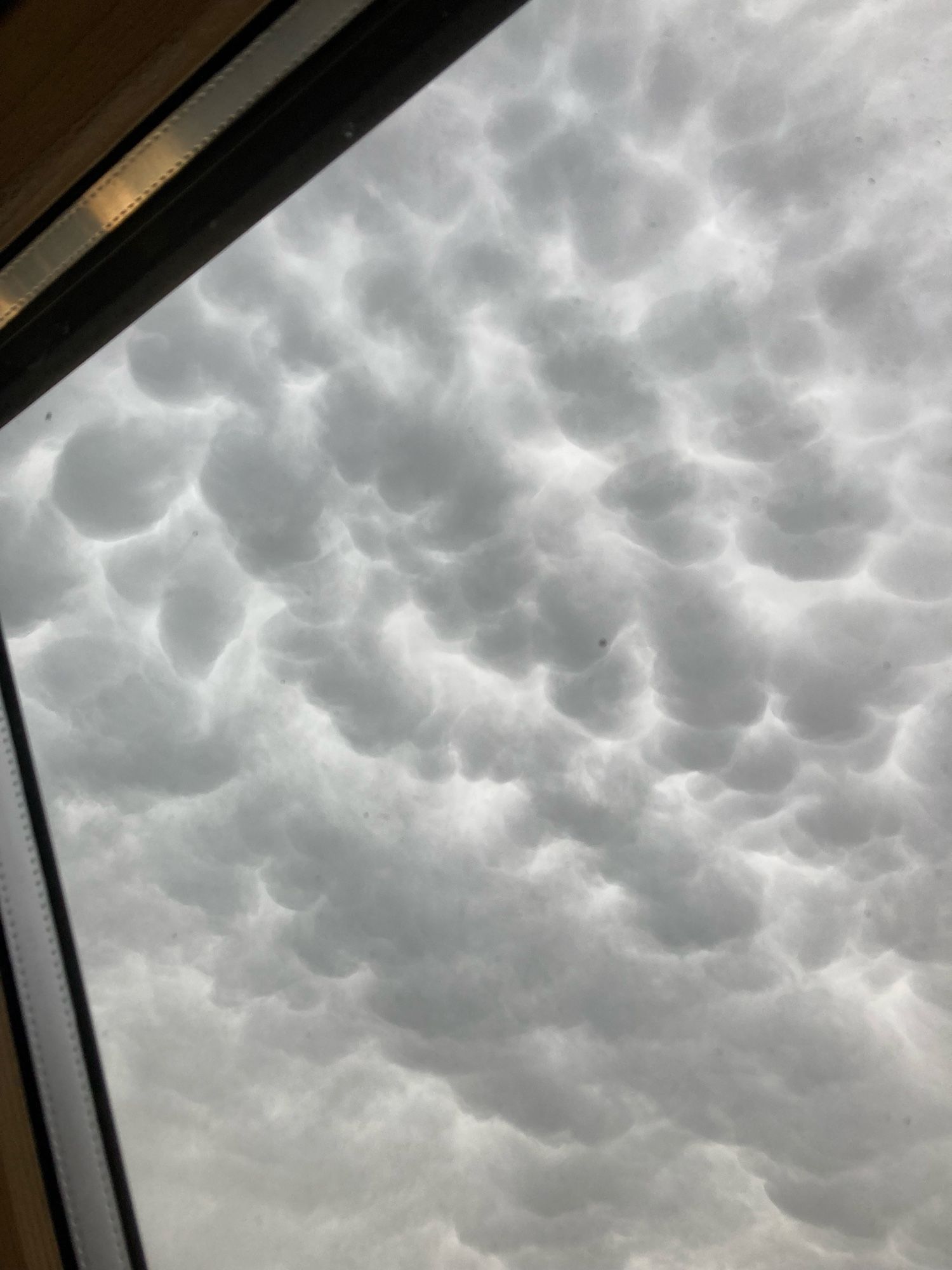 Bumpy clouds (possibly mammatus clouds if quick Internet check is correct) viewed through velux window. Light is trying to break through between the darker bumps of cloud.