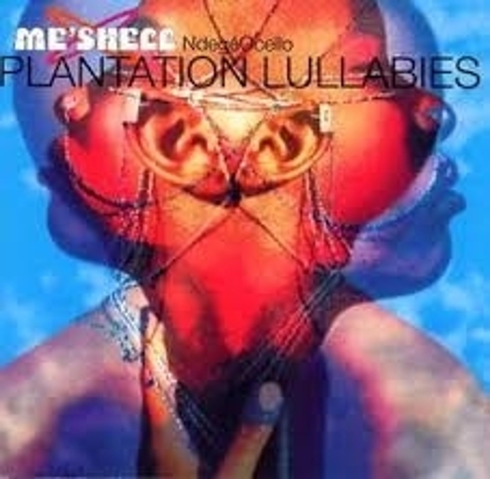 Me'Shell N'degeocello - Plantation Lullabies 