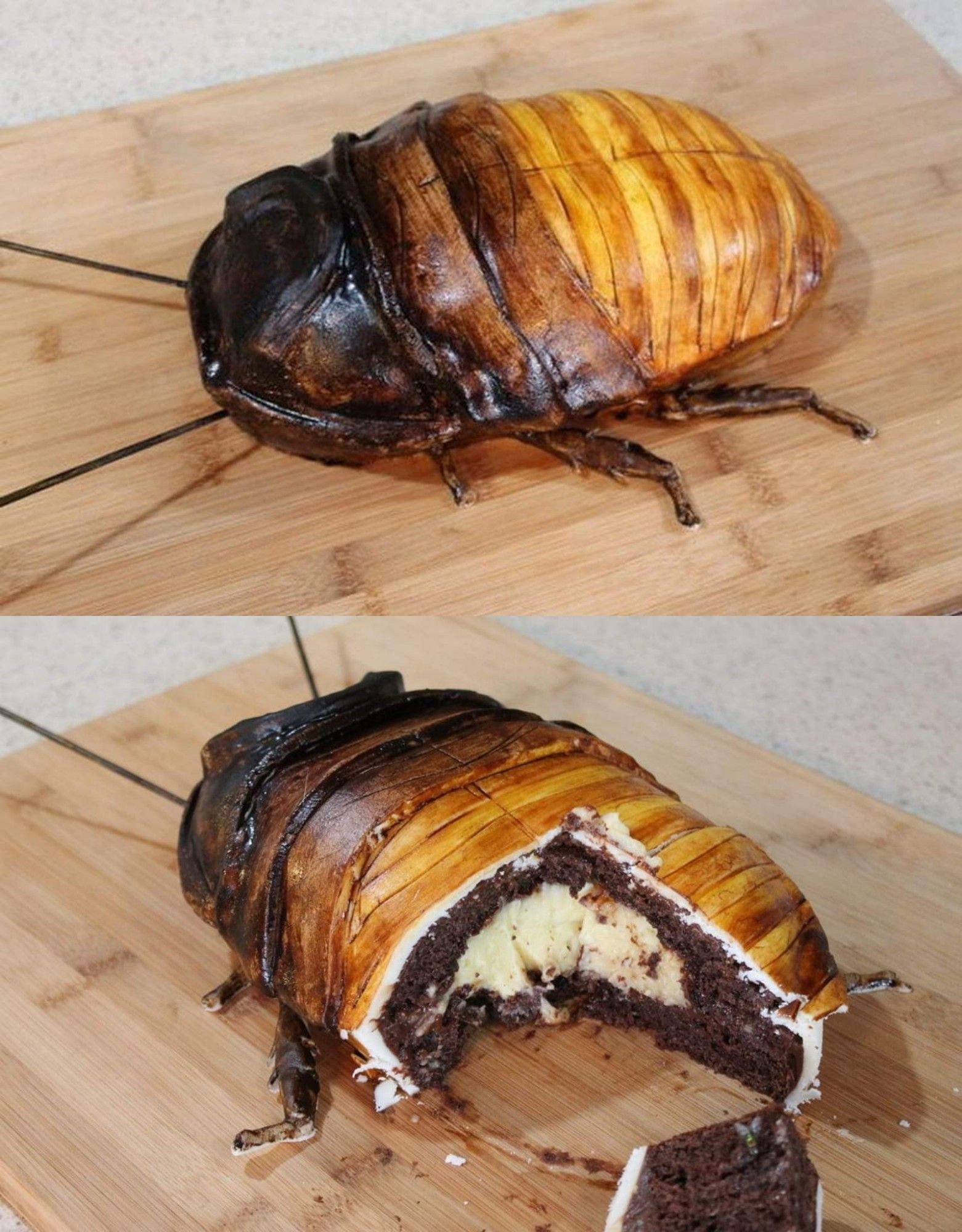 Is it a bug? No! It's a cake!