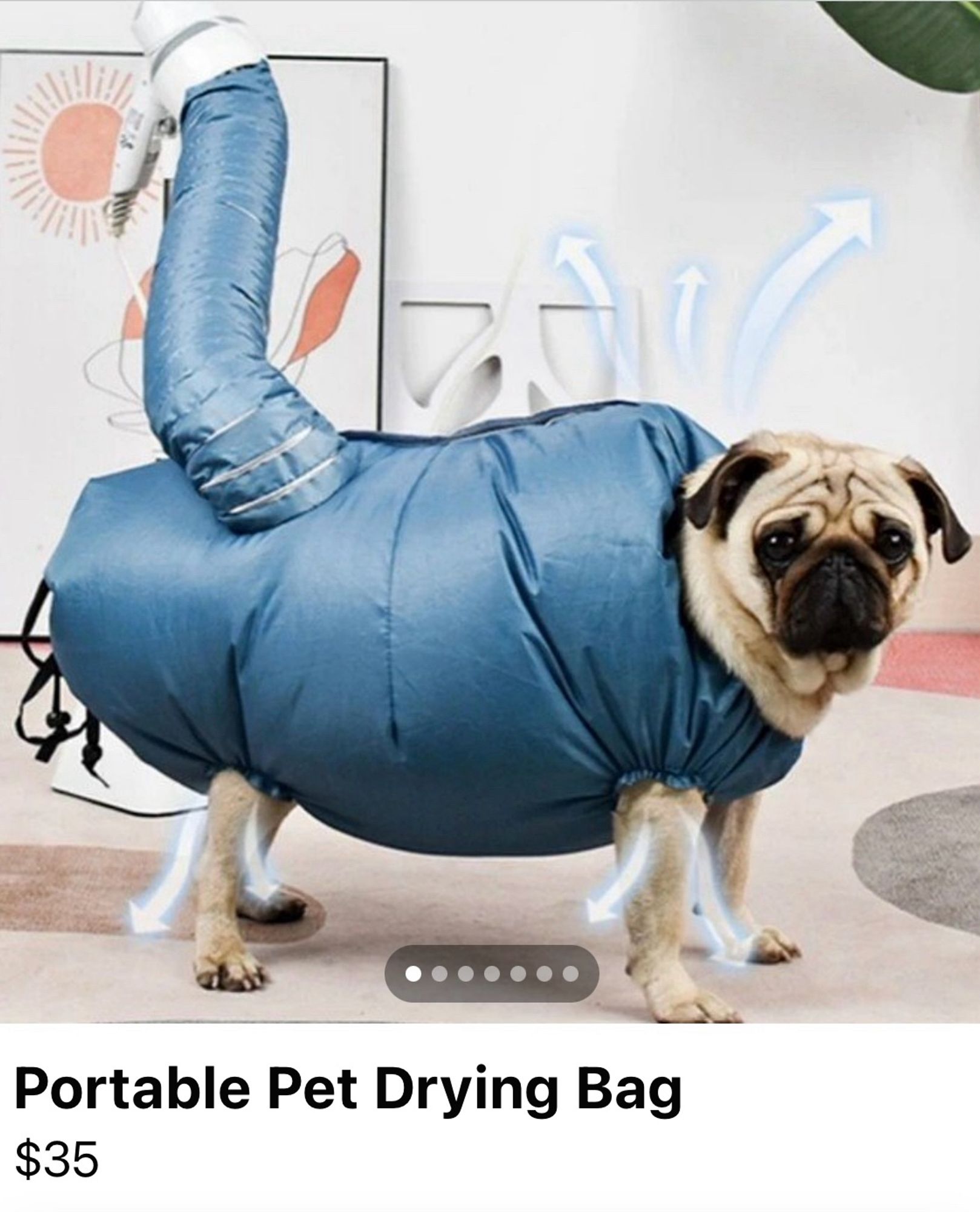 A pug (dig) wearing an inflated suit with some kind of a duct coming out of the rear end

The pug does not look happy