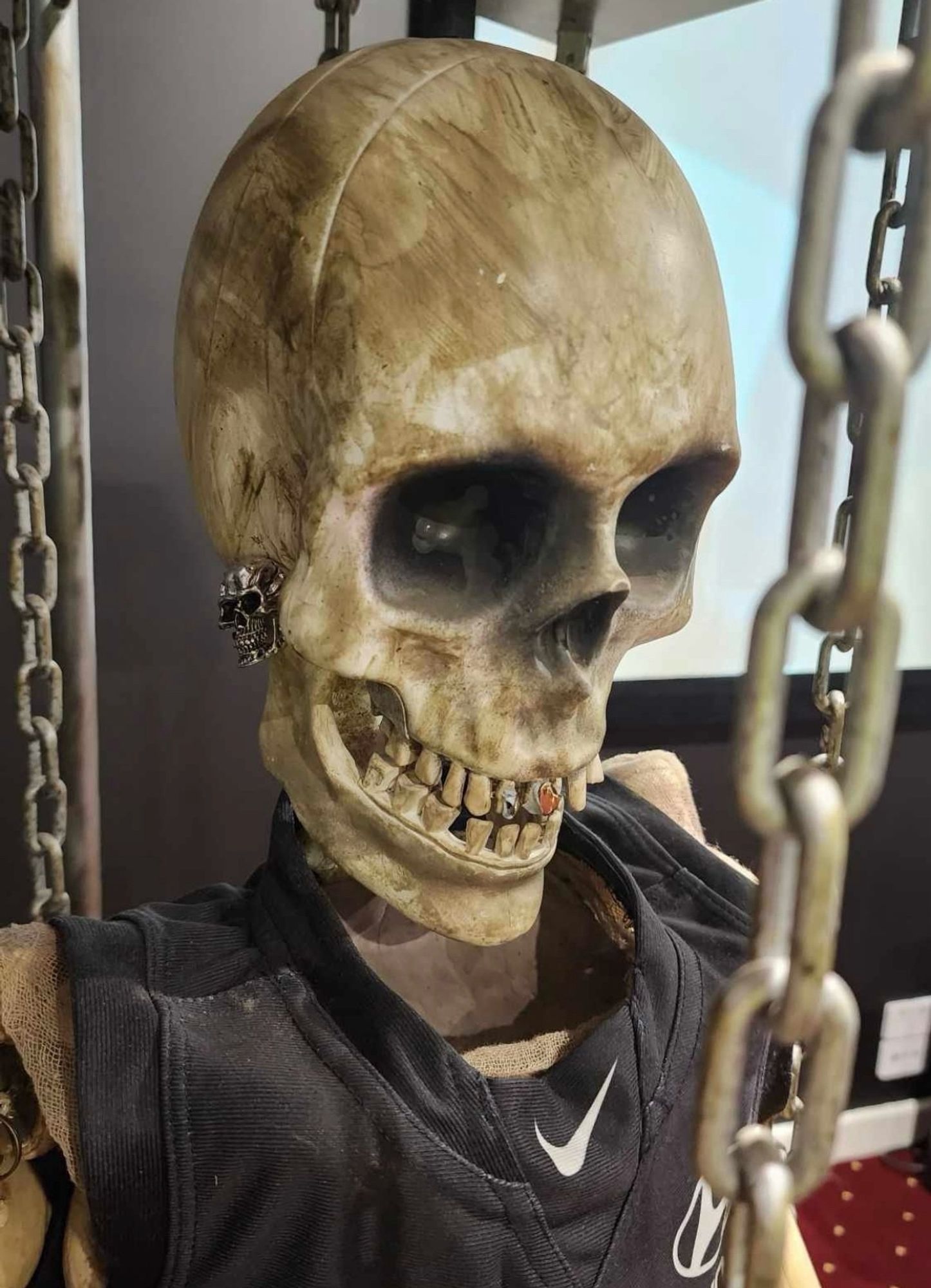 Skeleton in a cage wearing a AFL Carlton jumper