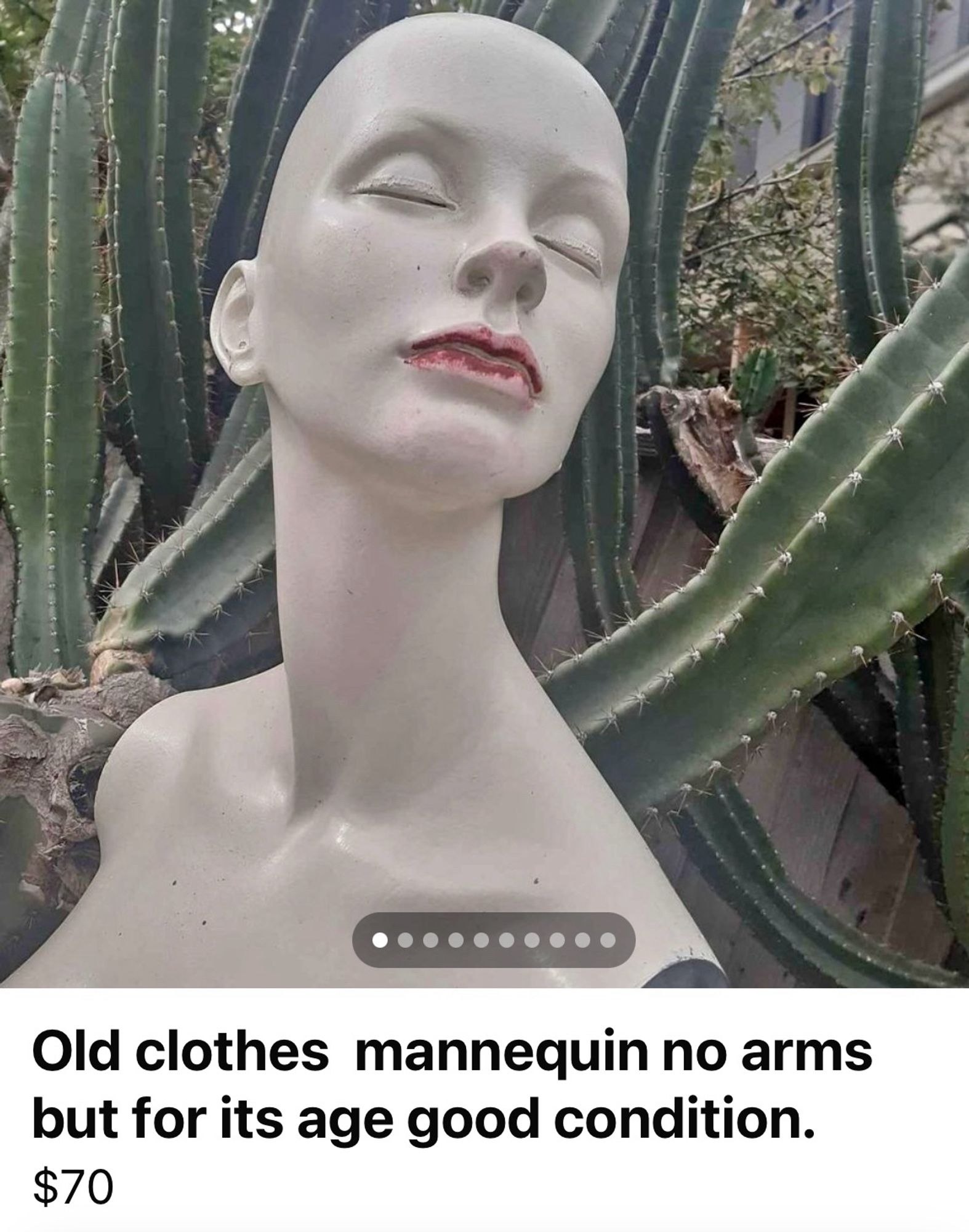 A bald female mannequin in front of a cactus