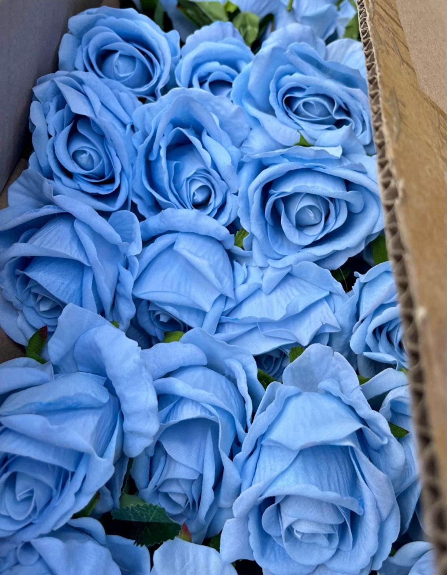 Cardboard box full of blue roses ~