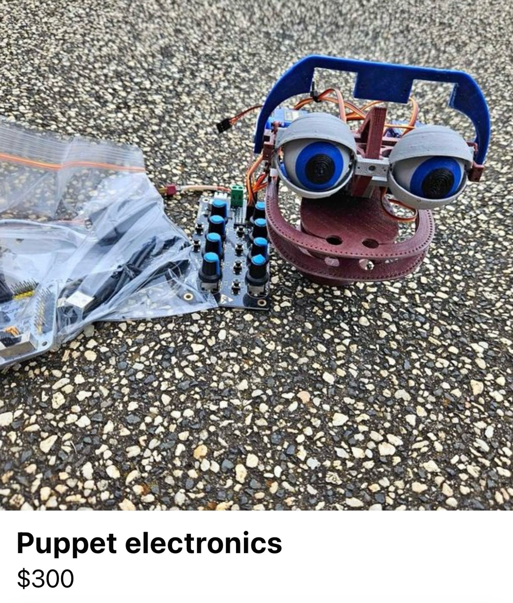 A strange looking face made of plastic, said to be the inner workings of a puppets face – mostly just big eyes and a flat mouth