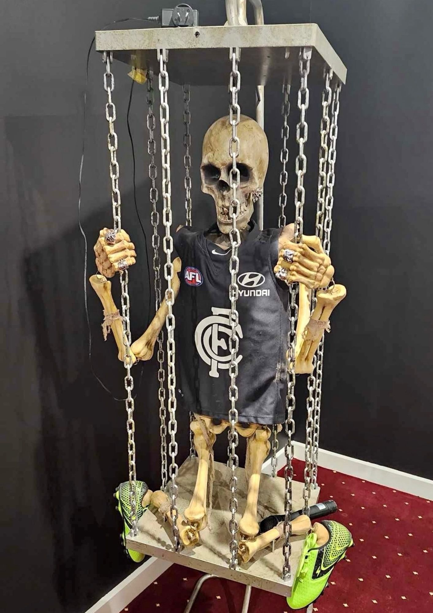 Skeleton in a cage wearing a AFL Carlton jumper