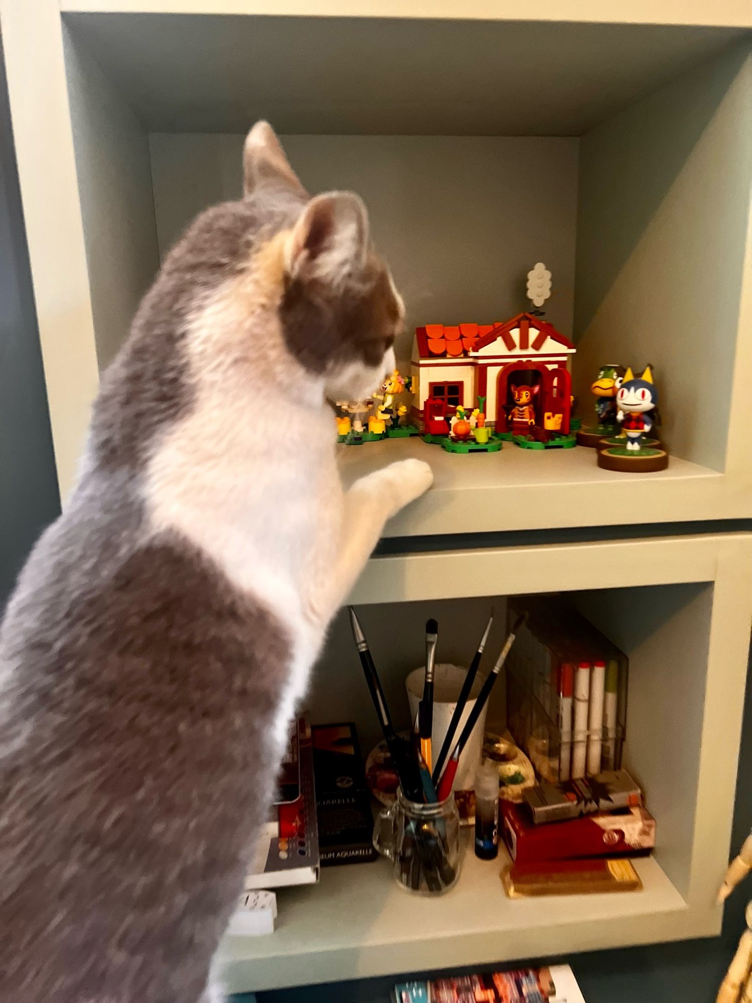 Gata cinza e branca em pé, observando o que está em uma estante de cor verde clara. No nicho da estante há miniaturas e Lego de personagens do jogo Animal Crossing. No nicho inferior há materiais de desenho e pintura.