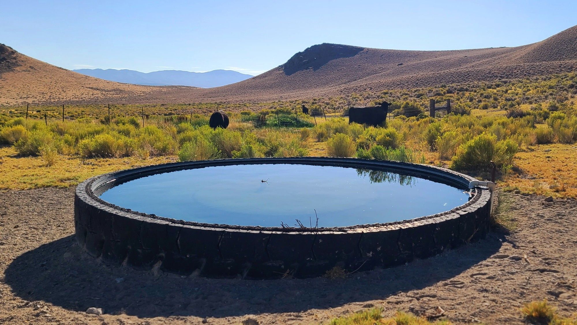 Large circular water trough filled with water, surrounded by a natural landscape with mountains in the background and sparse vegetation around, under a clear blue sky.