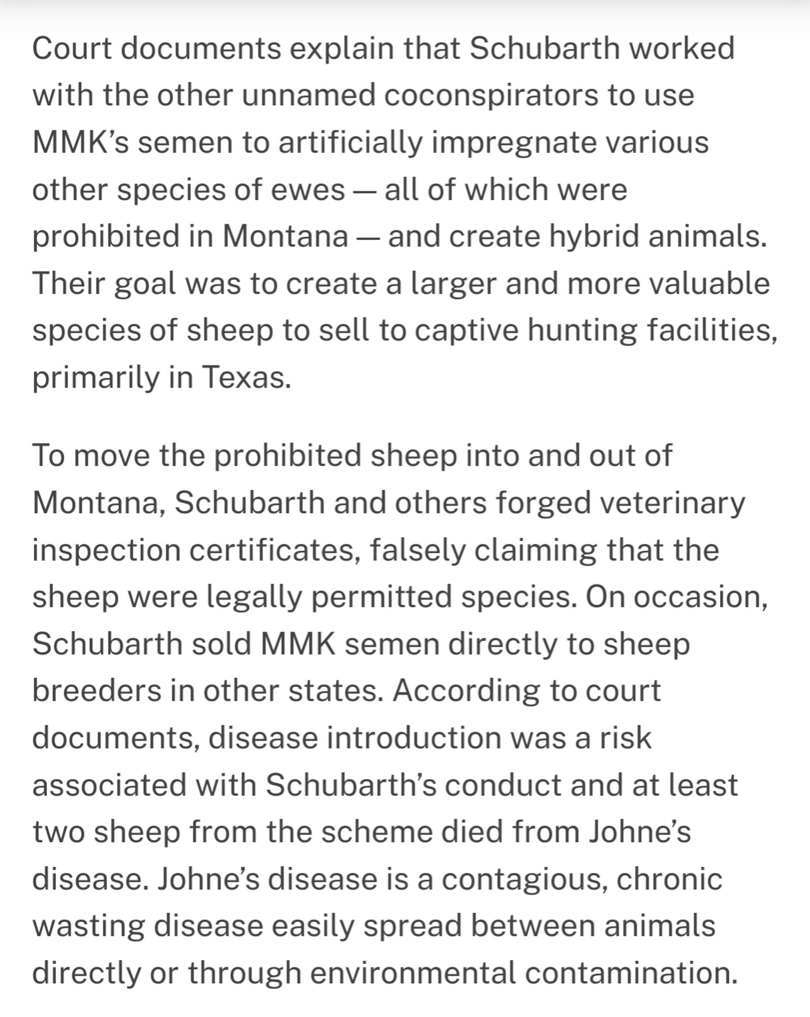 Court documents explain that Schubarth worked
with the other unnamed coconspirators to use
MMK's semen to artificially impregnate various
other species of ewes -- all of which were
prohibited in Montana - and create hybrid animals.
Their goal was to create a larger and more valuable
species of sheep to sell to captive hunting facilities,
primarily in Texas.
To move the prohibited sheep into and out of
Montana, Schubarth and others forged veterinary
inspection certificates, falsely claiming that the
sheep were legally permitted species. On occasion,
Schubarth sold MMK semen directly to sheep
breeders in other states. According to court
documents, disease introduction was a risk
associated with Schubarth's conduct and at least
two sheep from the scheme died from Johne's
disease. Johne's disease is a contagious, chronic
wasting disease easily spread between animals
directly or through environmental contamination.