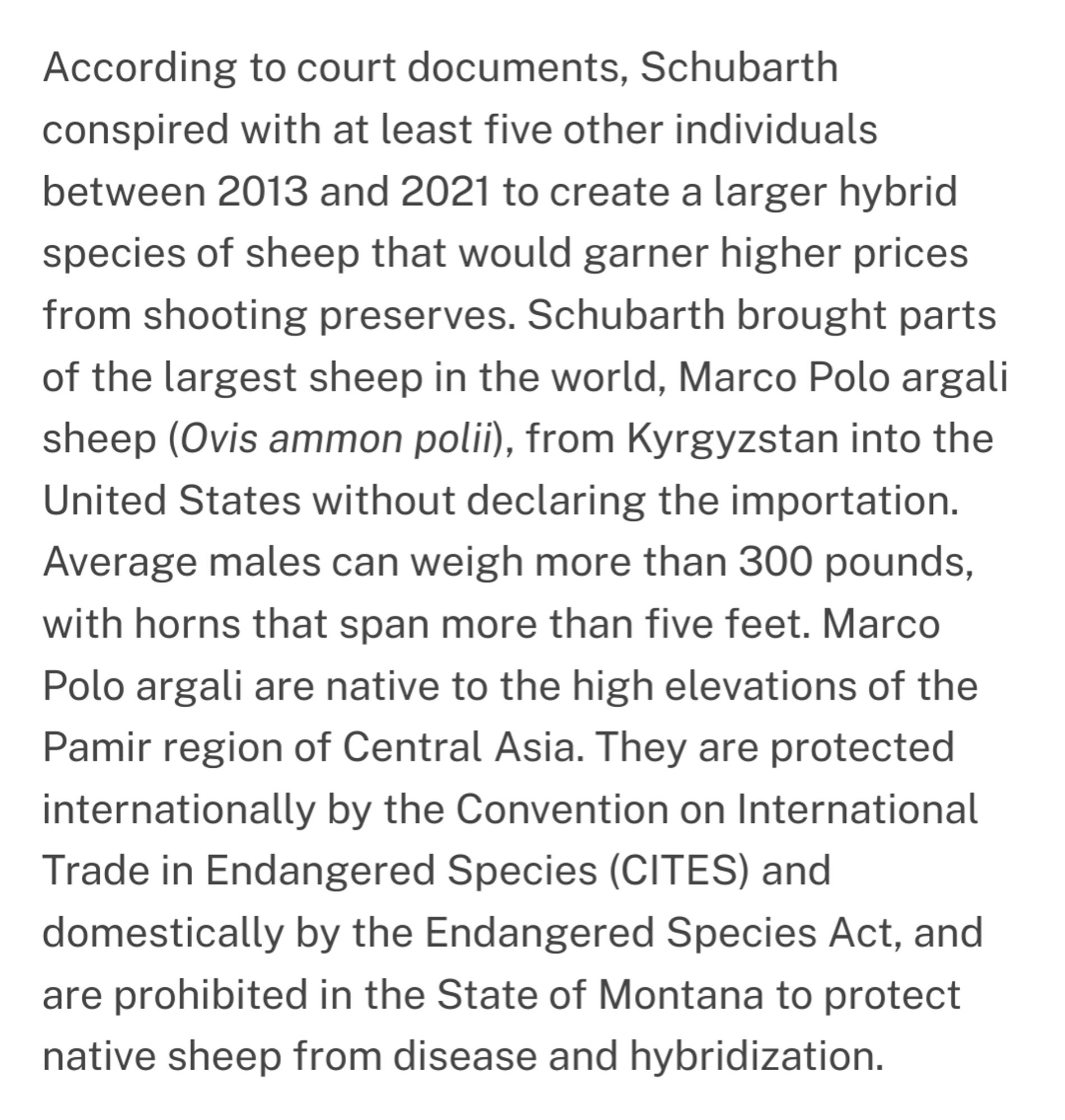 According to court documents, Schubarth conspired with at least five other individuals between 2013 and 2021 to create a larger hybrid species of sheep that would garner higher prices from shooting preserves. Schubarth brought parts of the largest sheep in the world, Marco Polo argali sheep (Ovis ammon polii), from Kyrgyzstan into the United States without declaring the importation. Average males can weigh more than 300 pounds, with horns that span more than five feet. Marco Polo argali are native to the high elevations of the Pamir region of Central Asia. They are protected internationally by the Convention on International Trade in Endangered Species (CITES) and domestically by the Endangered Species Act, and are prohibited in the State of Montana to protect native sheep from disease and hybridization.