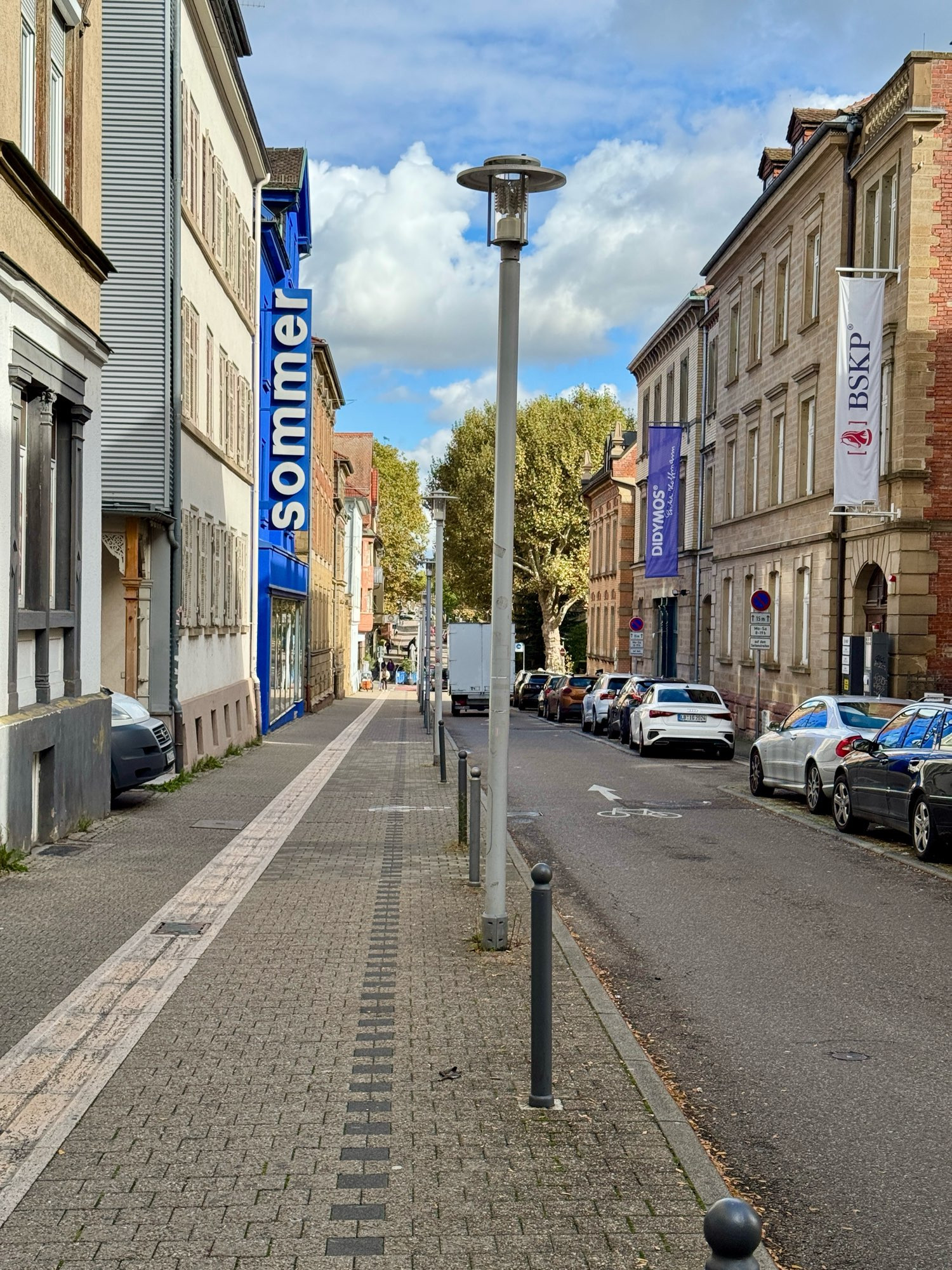 Straße in Ludwigsburg. Rechts parken Autos.