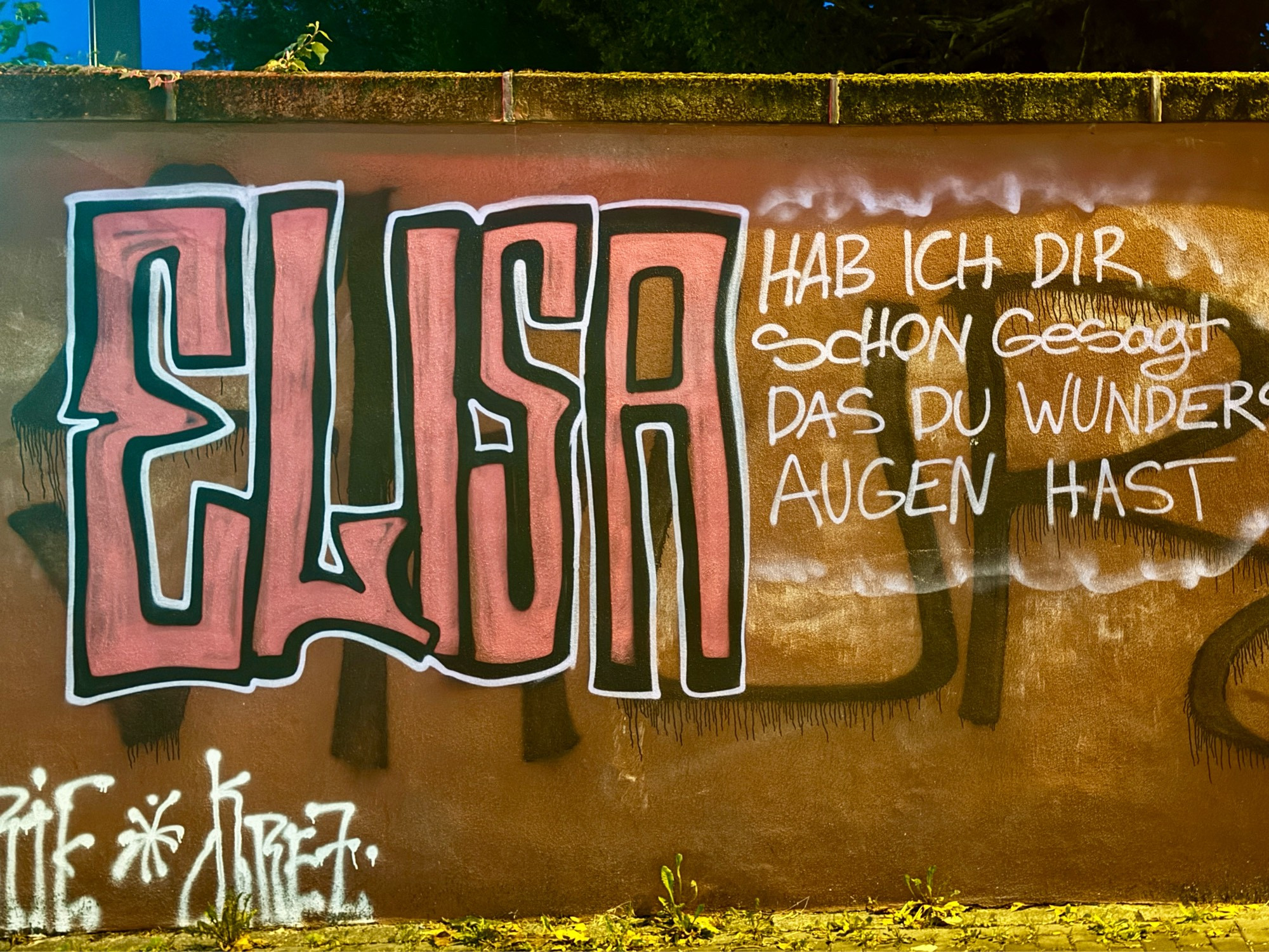 Graffiti an einer Wand in Freiburg. Elisa - Habe ich Dir schon gesagt, das du wunderschöne Augen hast.