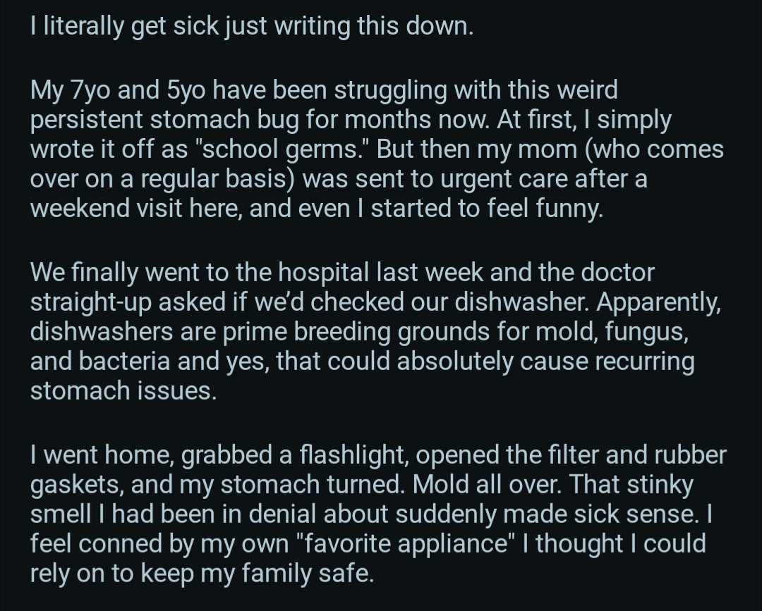 Doctor suggest persistent stomach bug in 7 and 5 year old could be from dishwasher. 