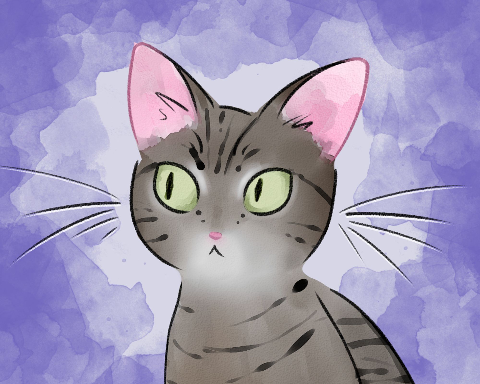 an illustration of a brown tabby cat on a purple background