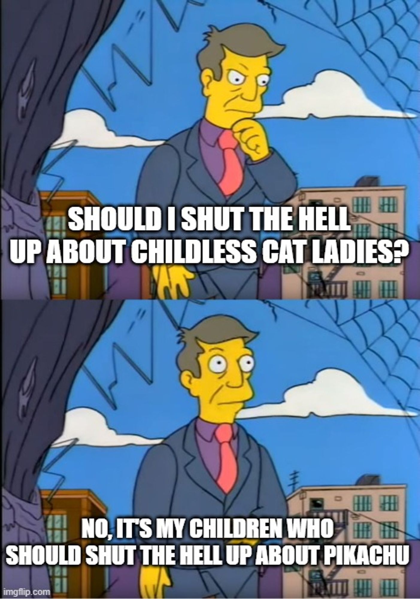 Out of touch Skinner meme. Top Panel, Principal Skinner from The Simpsons pondering. Caption: Should I shut the hell up about childless cat ladies? Bottom panel, Skinner looking up. Caption: No, it's my children who should shut the hell up about Pikachu