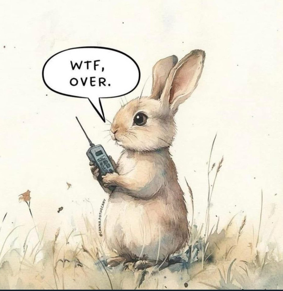 Rabbit holding a cell phone asking "WTF, over."