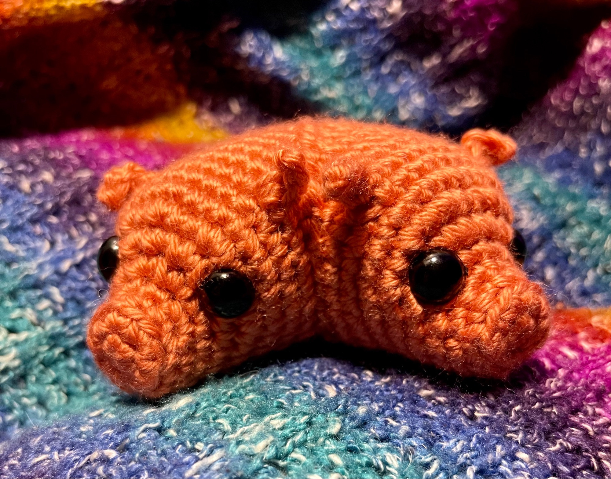 Crochet, two headed pig in a salmon-y orange color