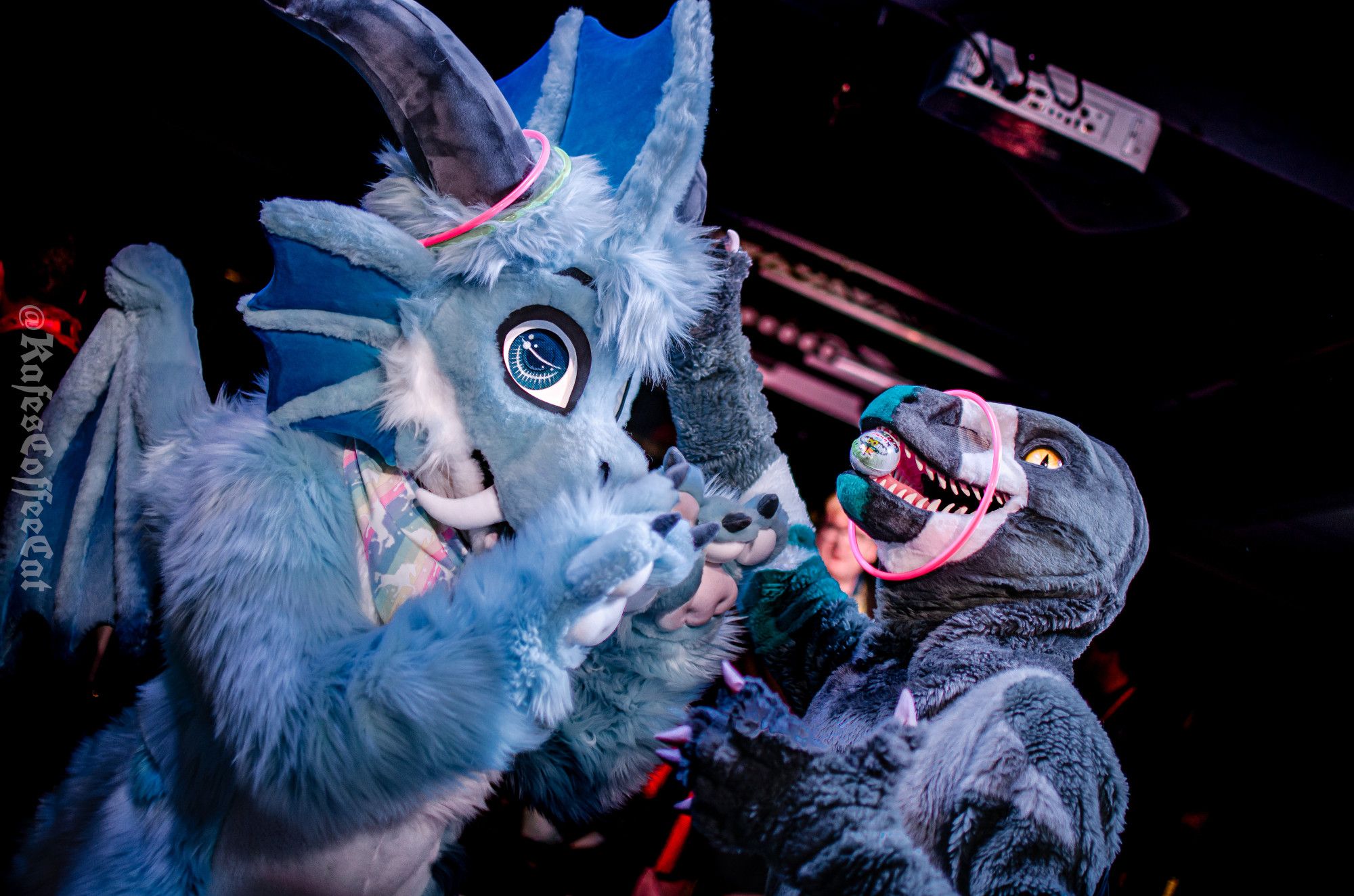 Theta and Arkie, dragon and raptor fursuiters, pose after the fursuit games with their ill-gotten gains.