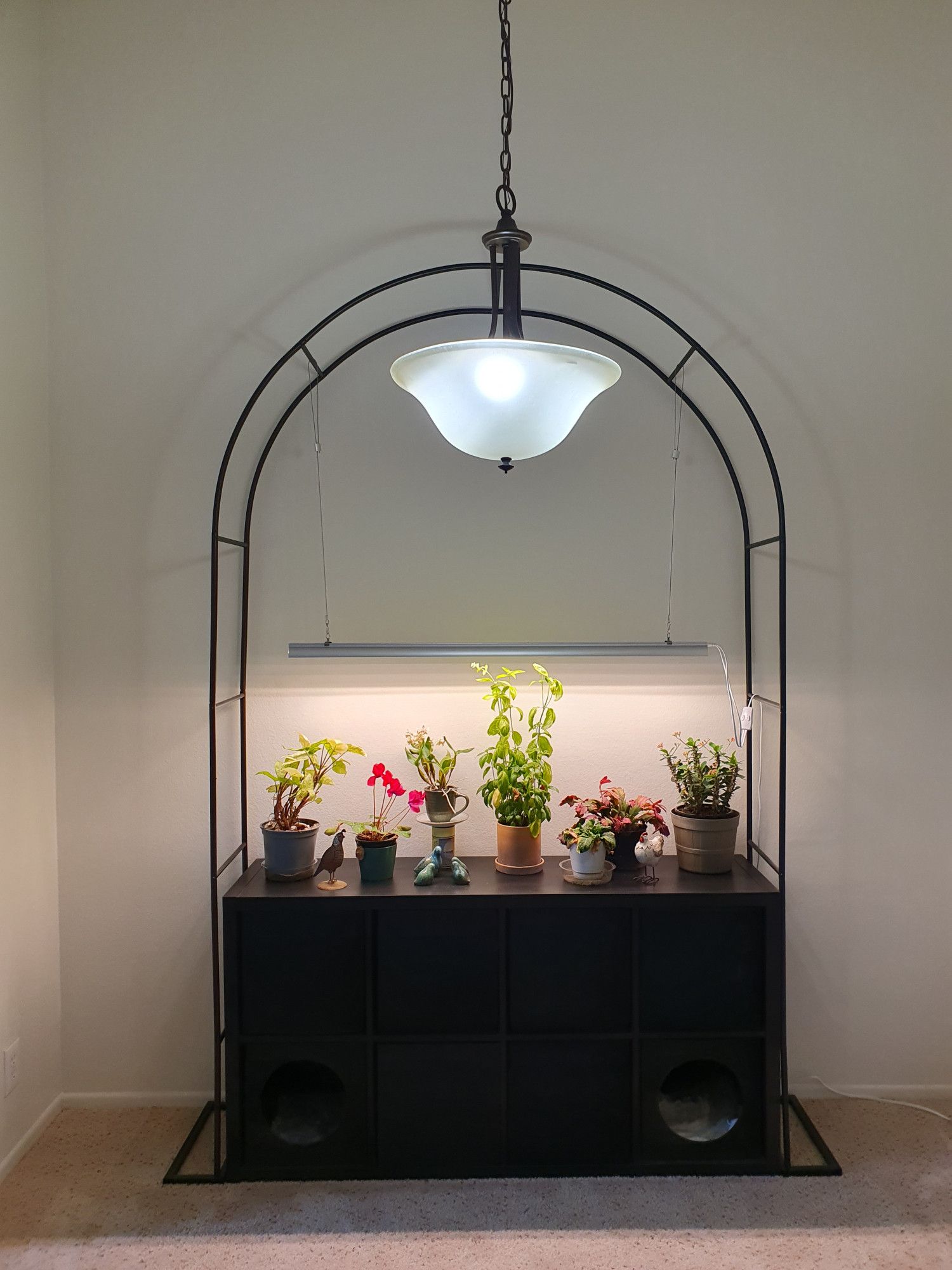 A black IKEA Kallax shelf with plants and decorative bird figurines on it. The shelf is about the height of a table. Arching over the shelf, and fitting perfectly with its dimensions, is a large black metal garden arch, and from it a plant lamp hangs suspended over the plants.