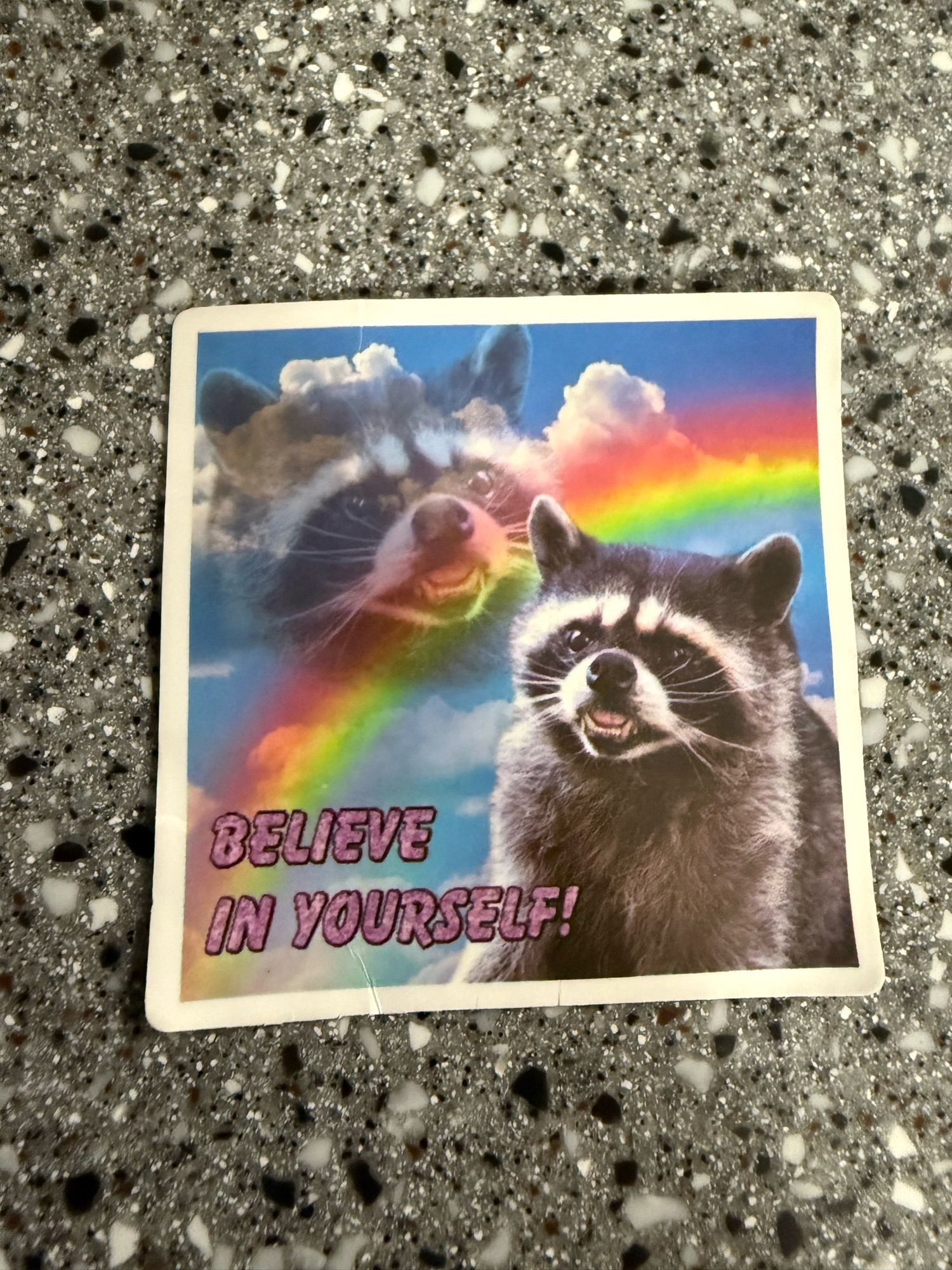 A raccoon sticker, reads “Believe in yourself!”