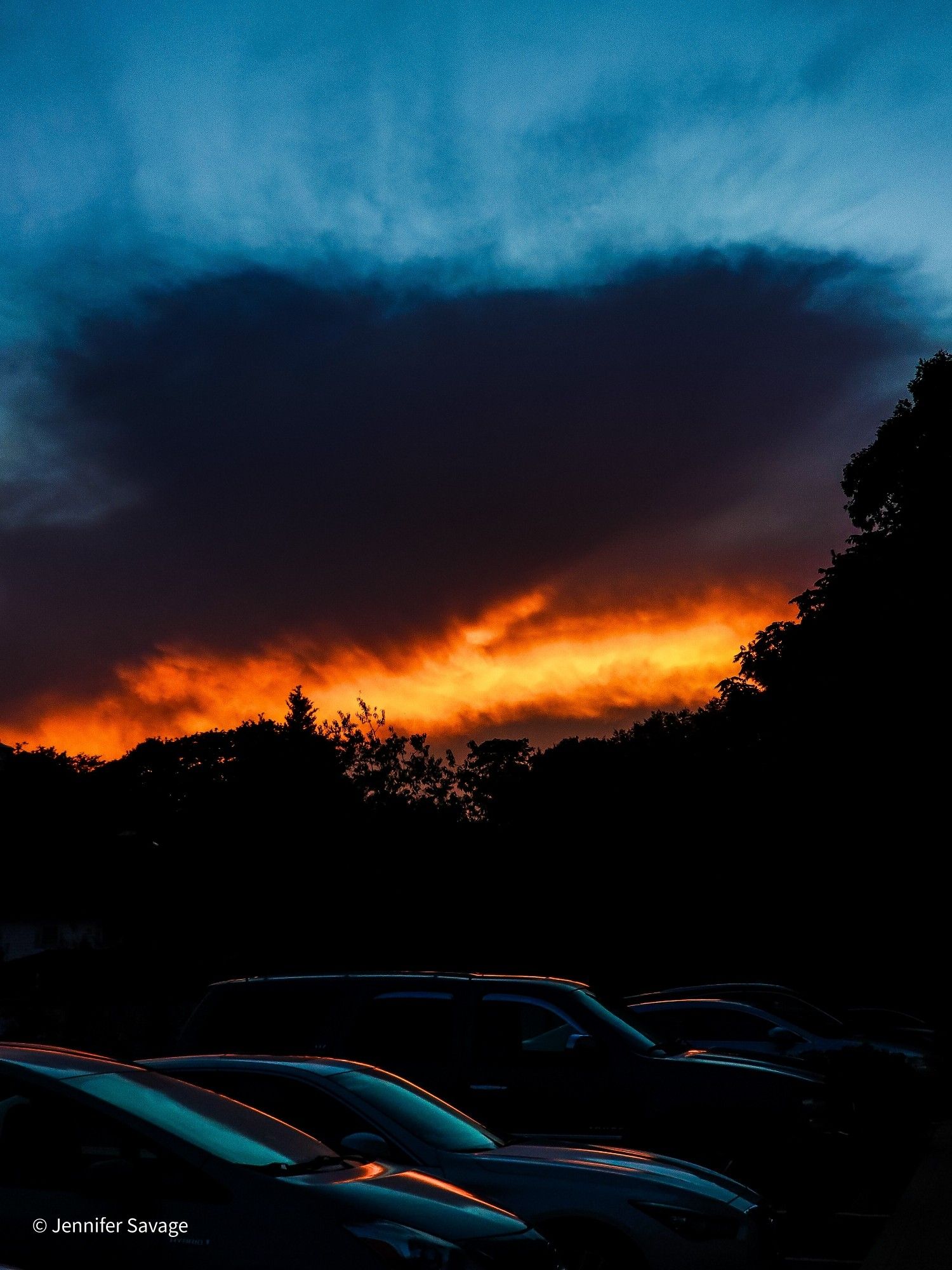 An extremely vivid orange and red sunset with backlit black trees, and the orangle light bouncing off some cars in the foreground.